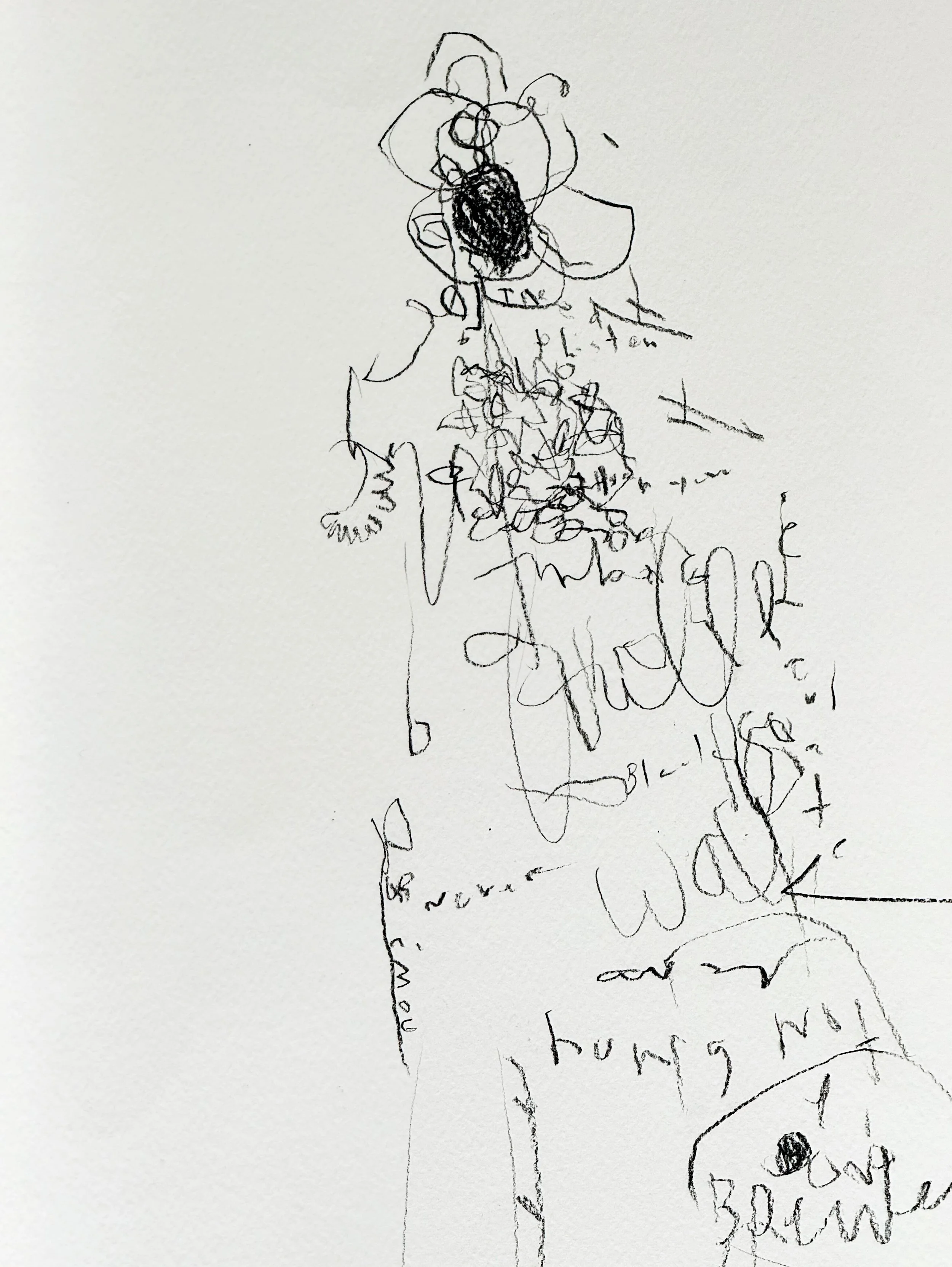 CATIE PAPER DROP NOV 2025-43.jpg