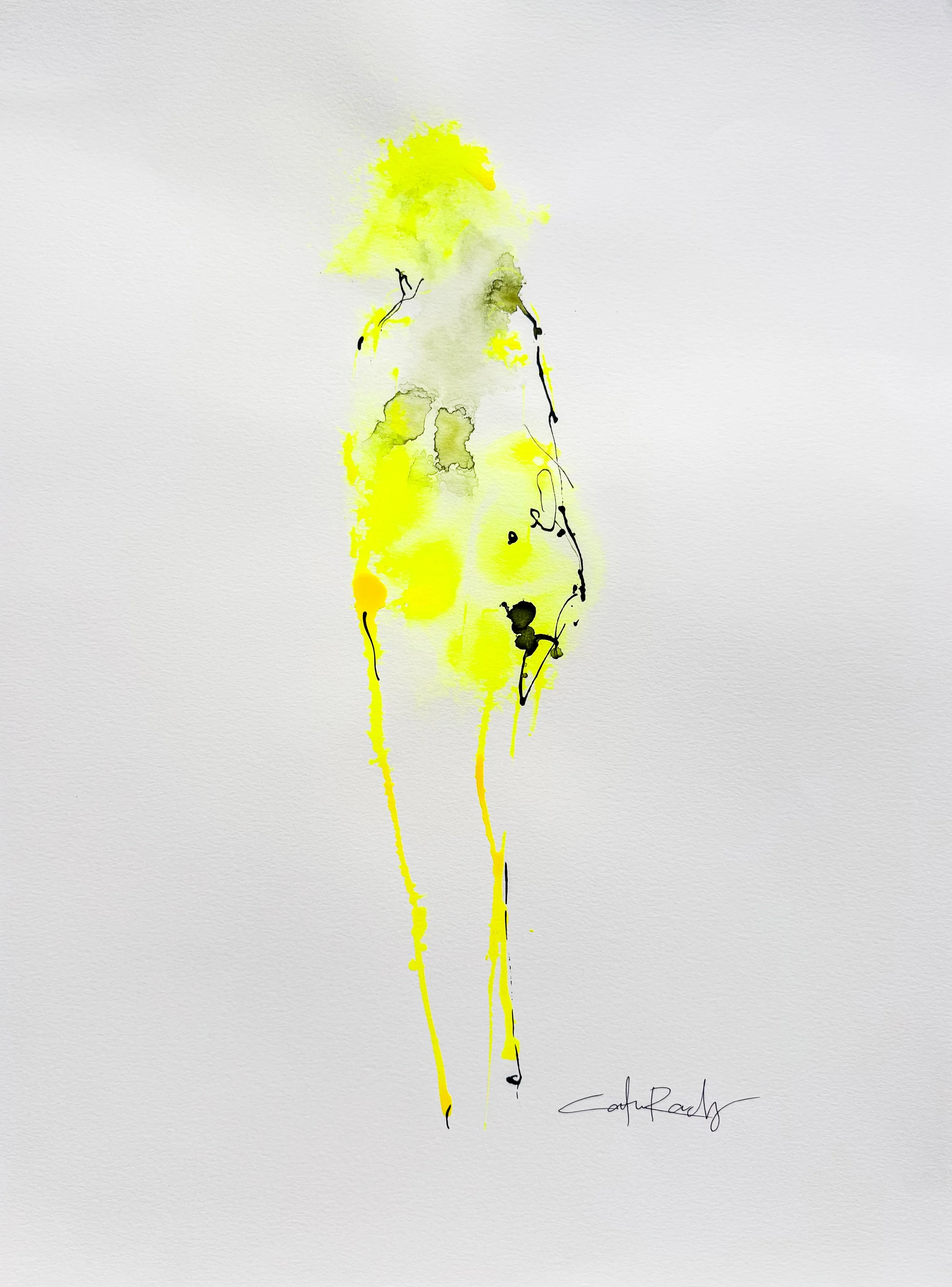 CATIE PAPER DROP NOV 2025-78.jpg