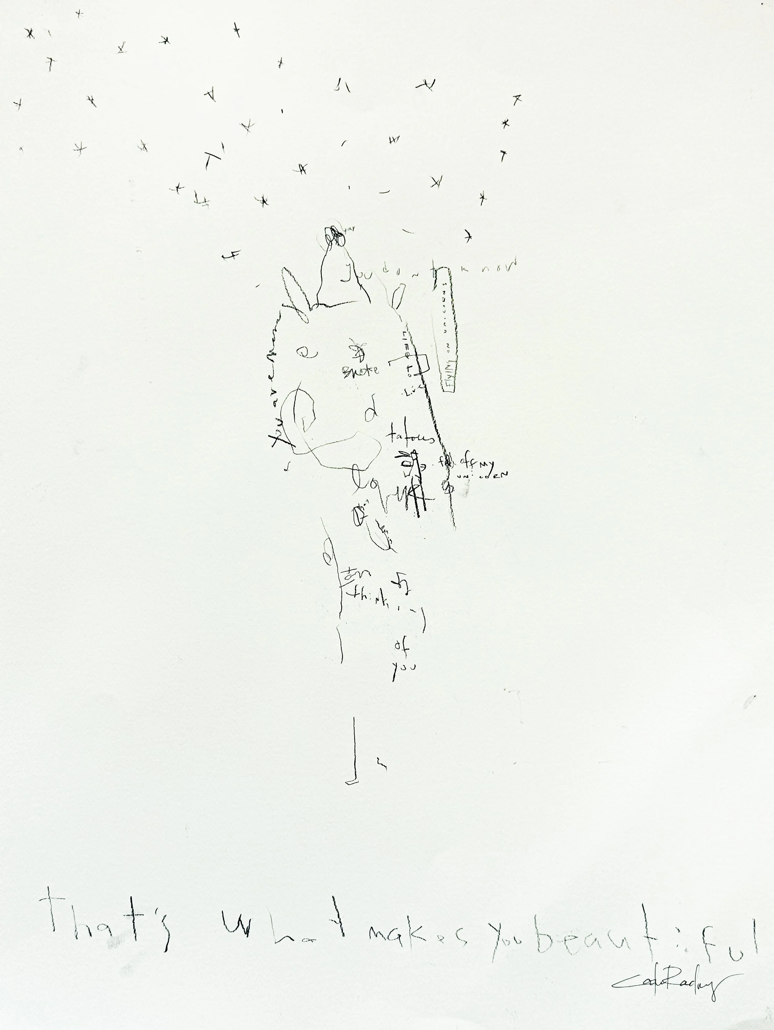 CATIE PAPER DROP NOV 2025-45.jpg