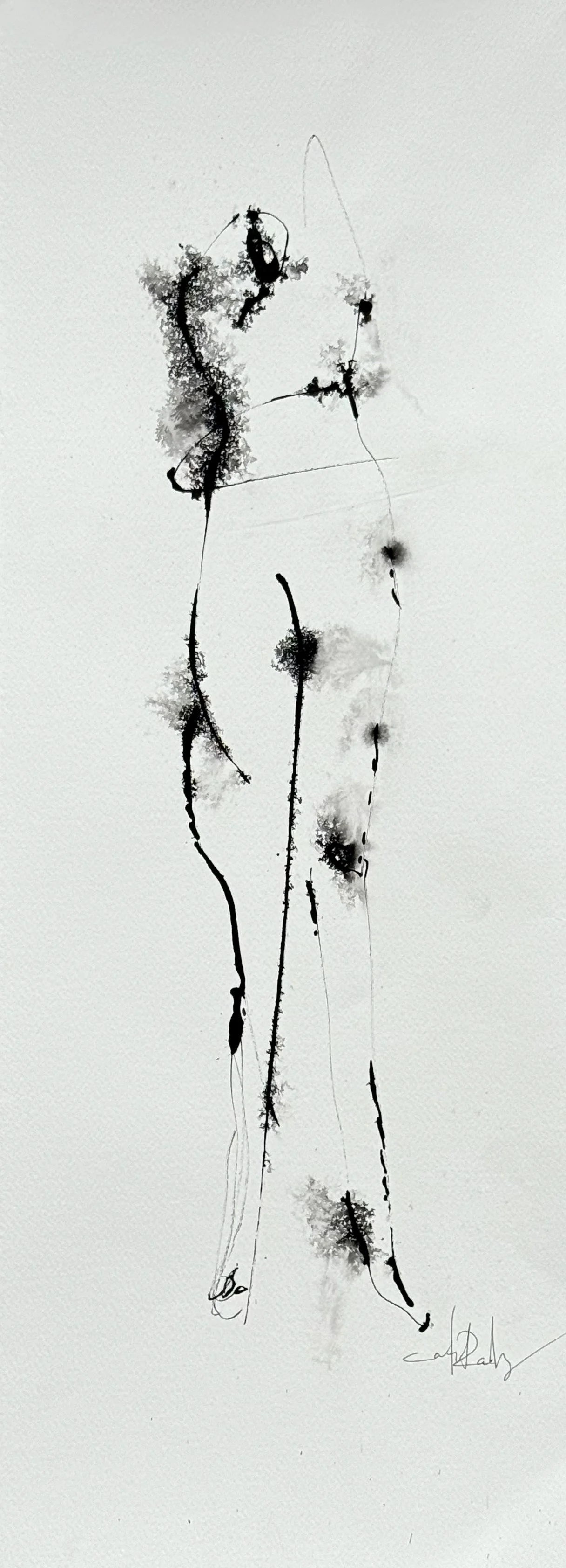 CATIE PAPER DROP NOV 2025-2.jpg