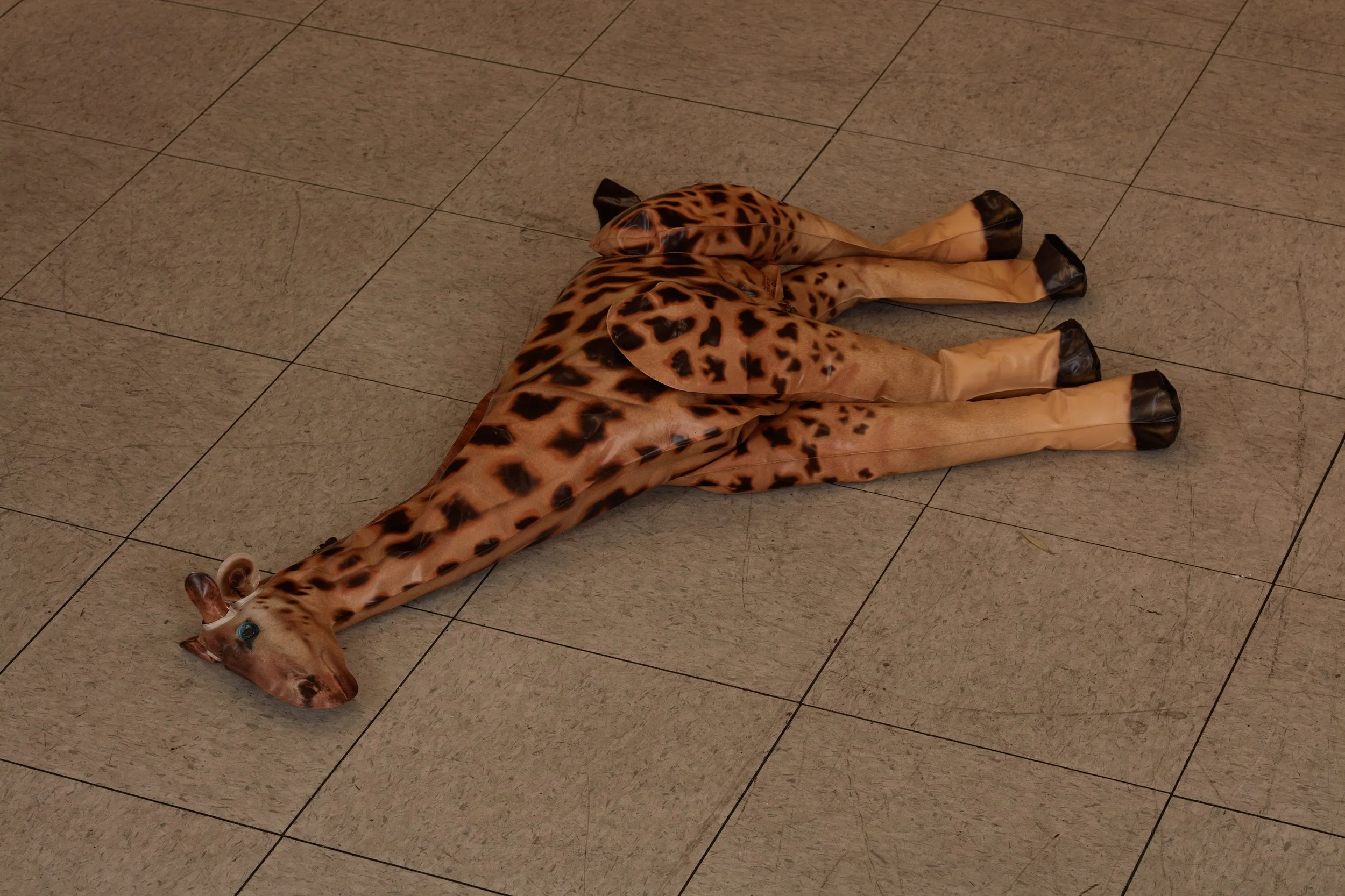 Leroys_Joe Klahr_Public life subscriptions_35557.jpeg