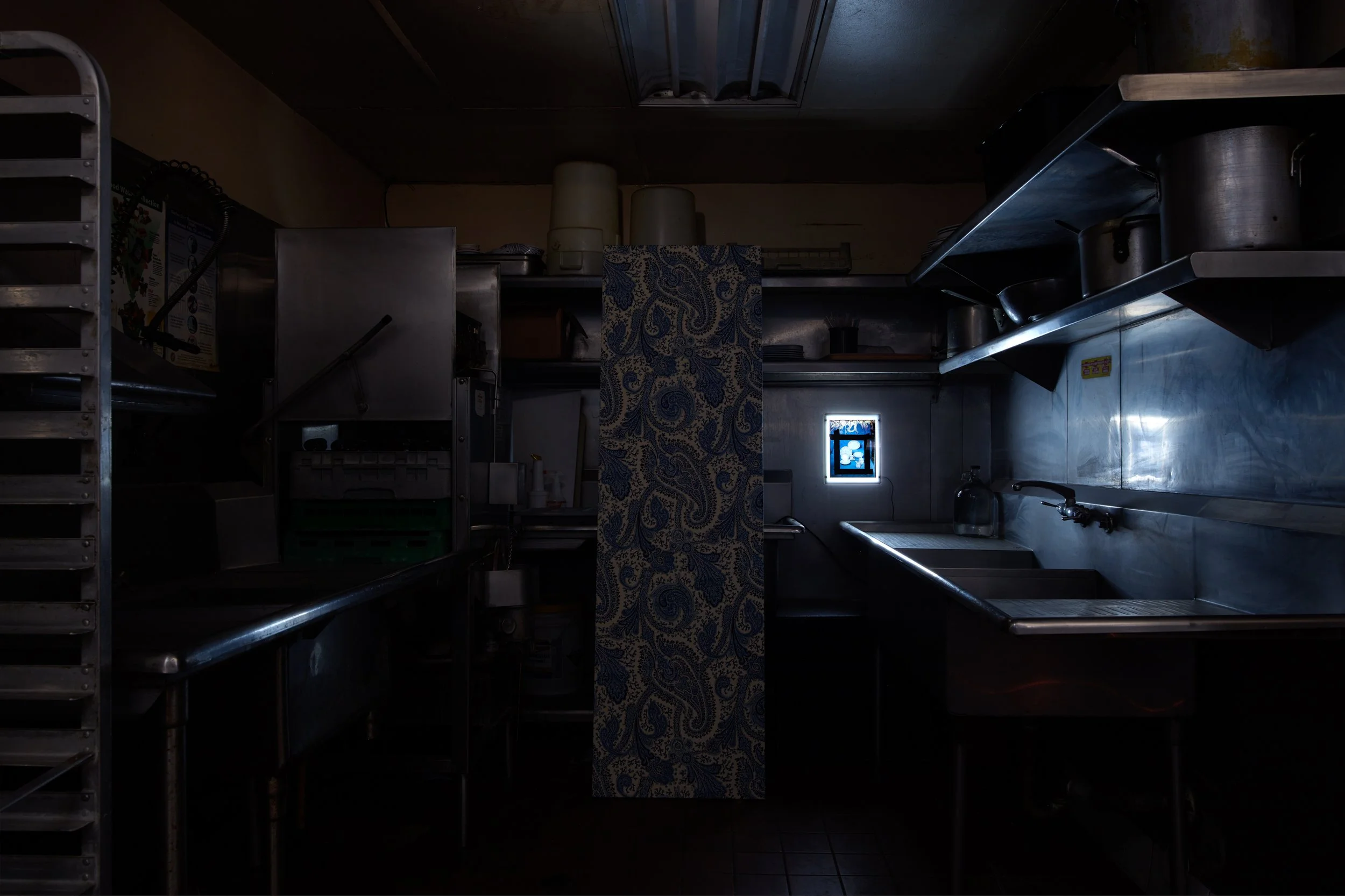 Leroys_Amanda Ross-Ho_36177.jpeg