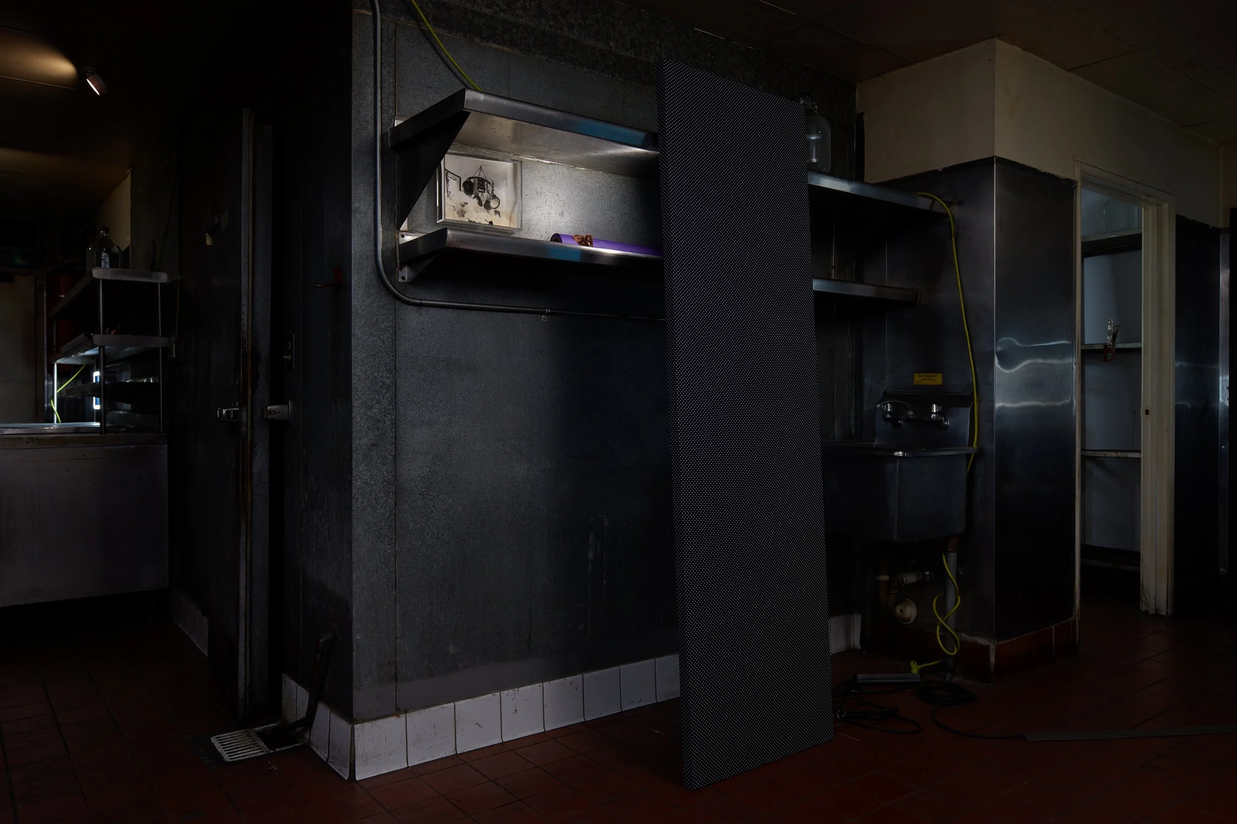 Leroys_Amanda Ross-Ho_36194.jpeg