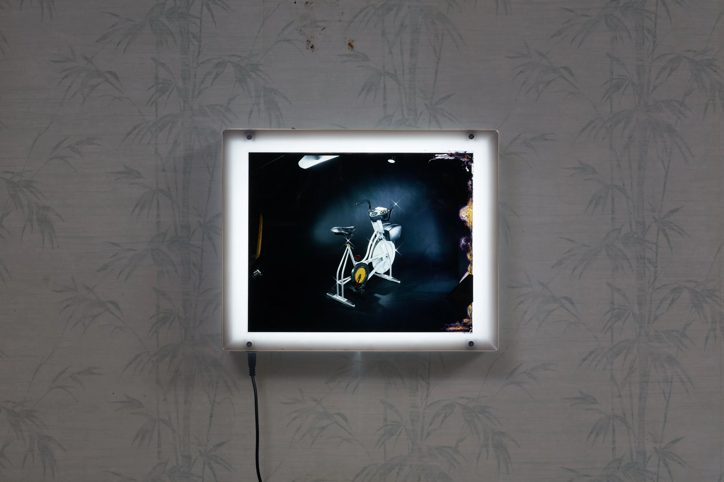 Leroys_Amanda Ross-Ho_36567.jpeg