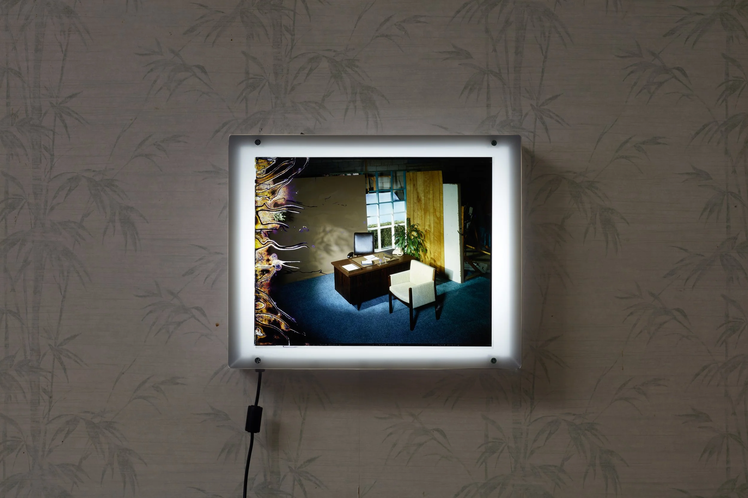 Leroys_Amanda Ross-Ho_36574.jpeg