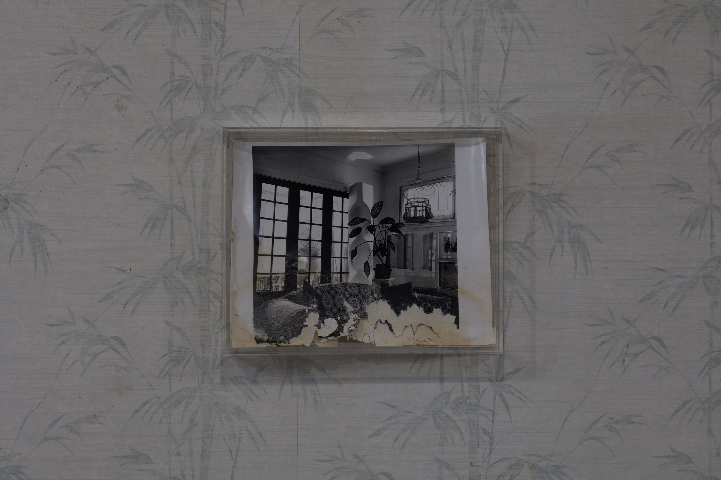 Leroys_Amanda Ross-Ho_36579.jpeg