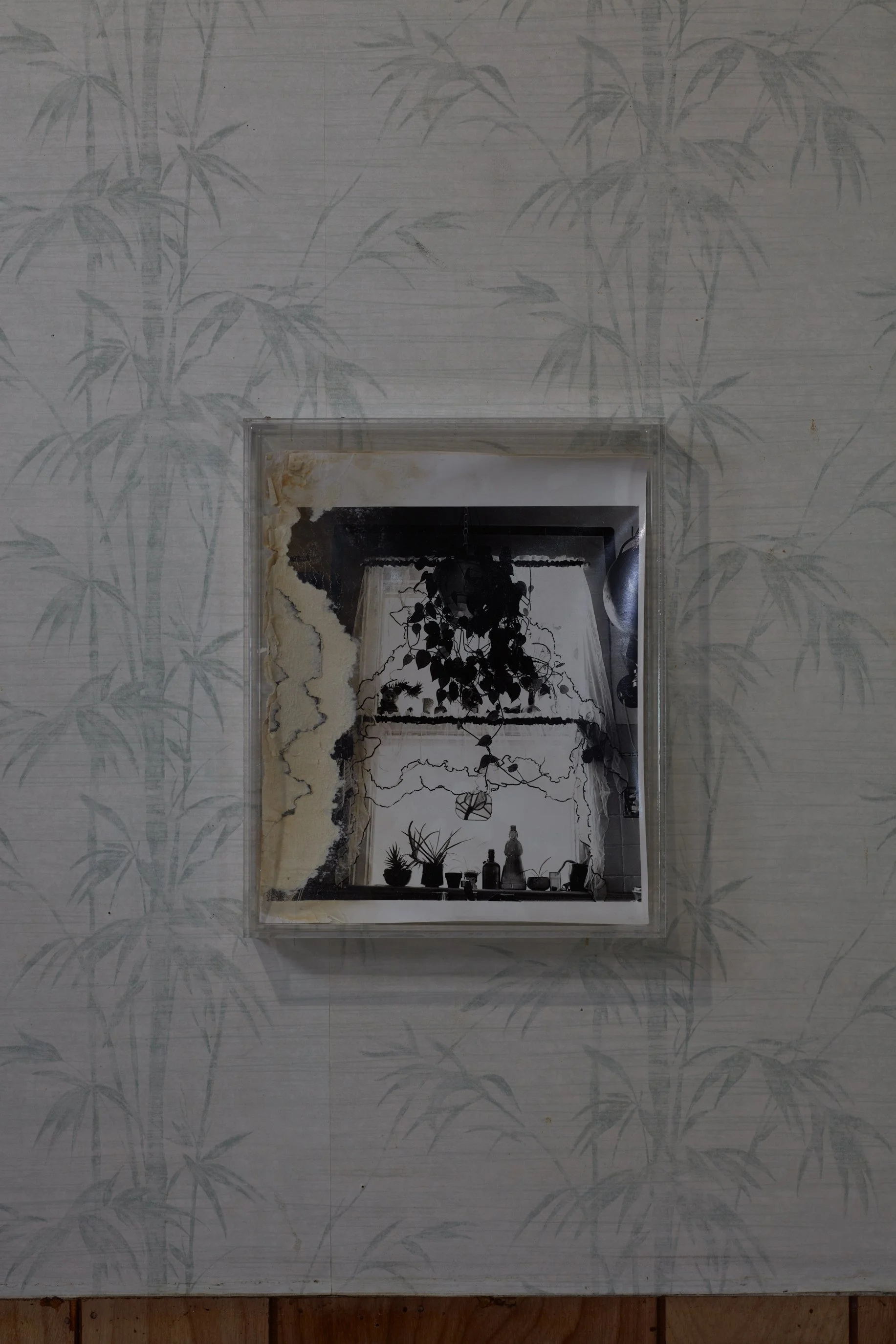 Leroys_Amanda Ross-Ho_36585.jpeg