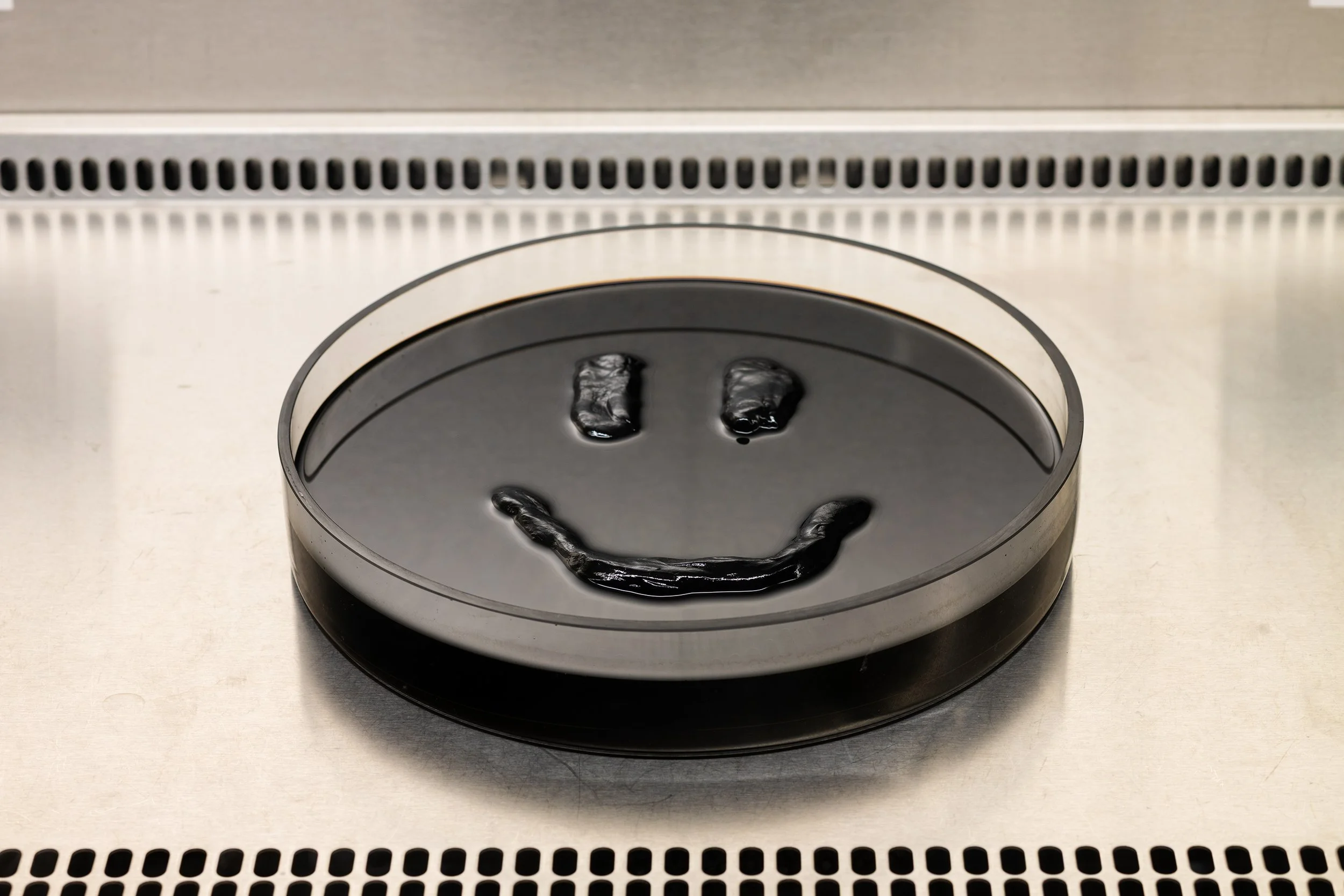 Anthony Discenza_Folklore_Leroys-065.jpg