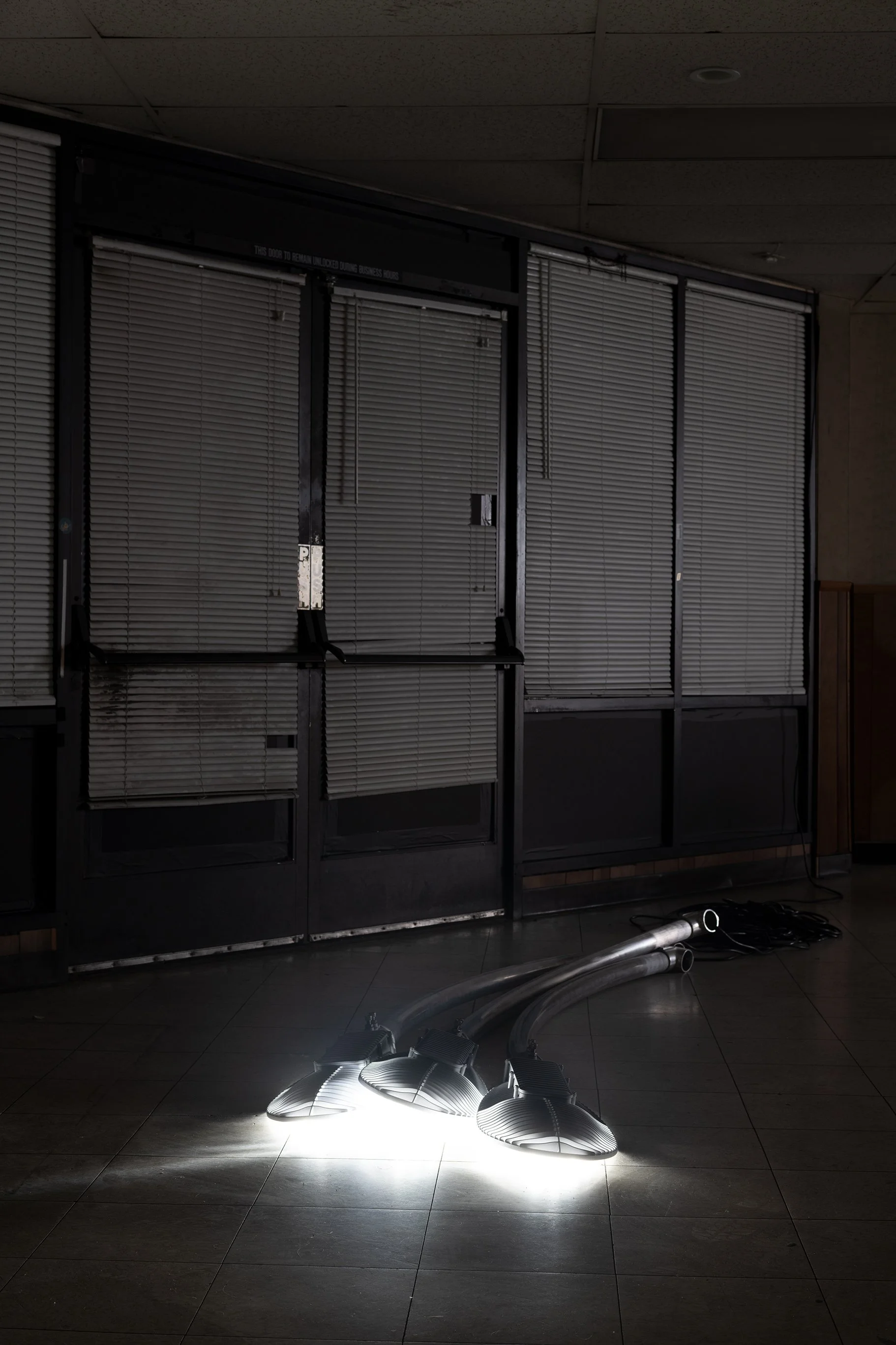 Anthony Discenza_Folklore_Leroys-158.jpg