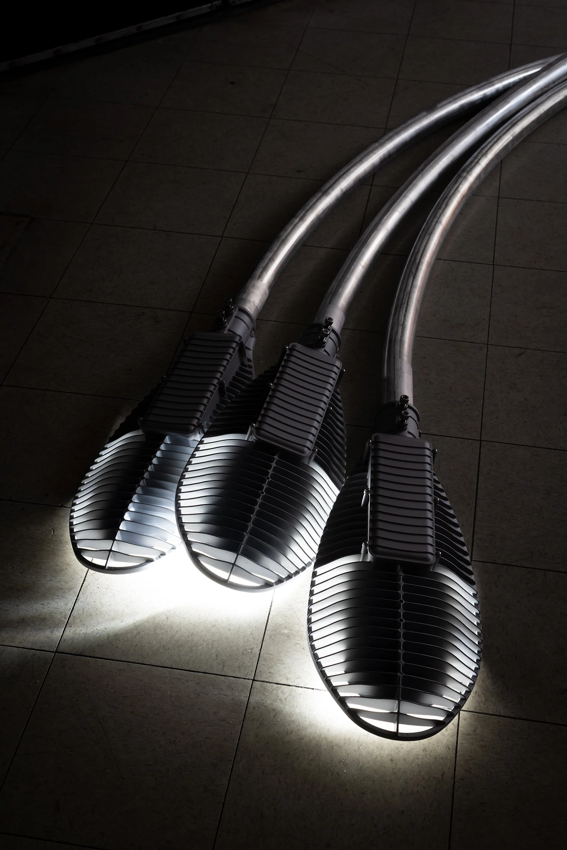 Anthony Discenza_Folklore_Leroys-170.jpg