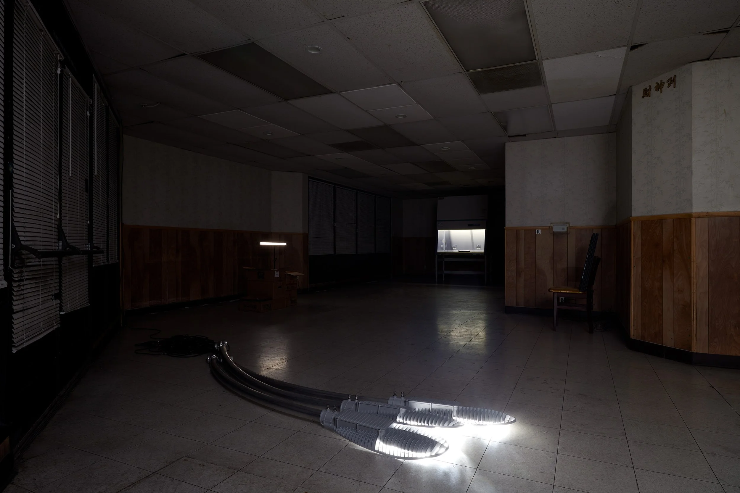 Leroys_Anthony Discenza_39042.jpg