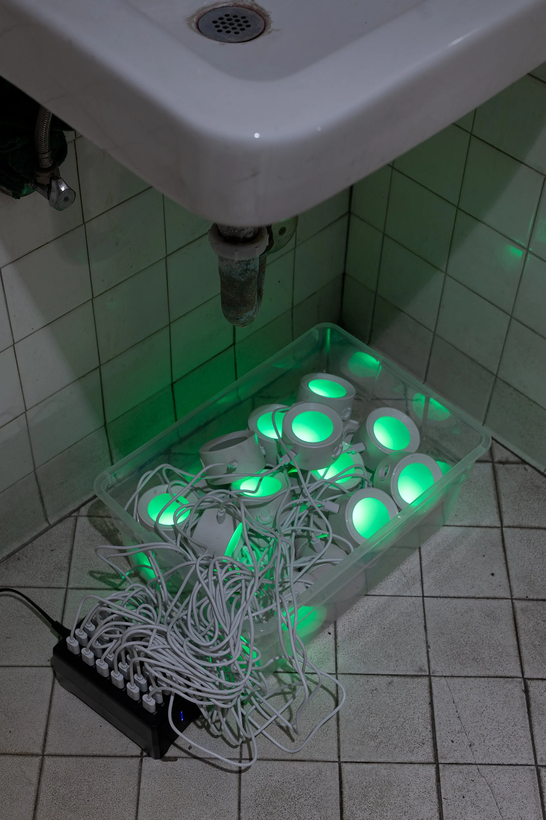 Anthony Discenza_Folklore_Leroys-245.jpg