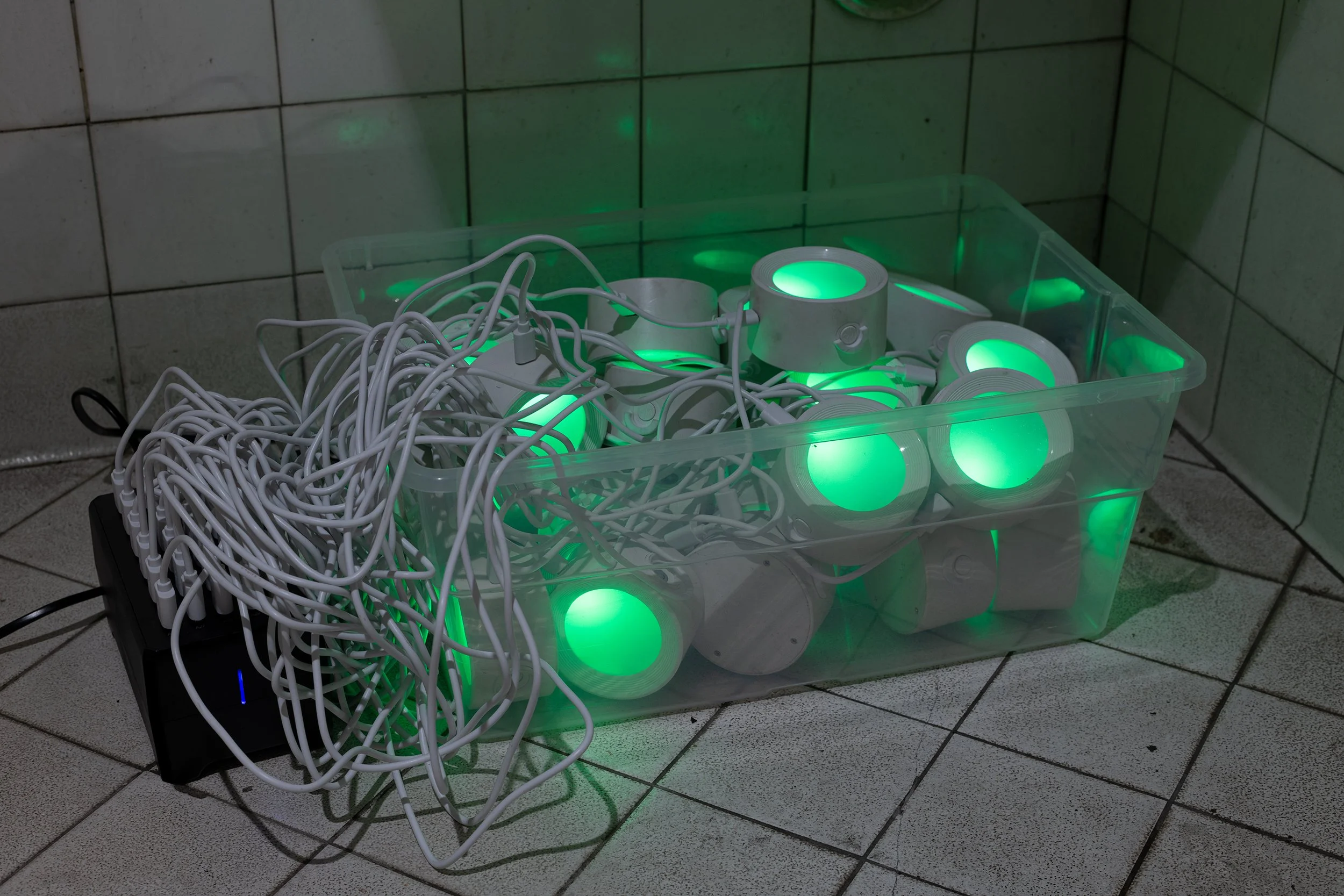 Anthony Discenza_Folklore_Leroys-236.jpg