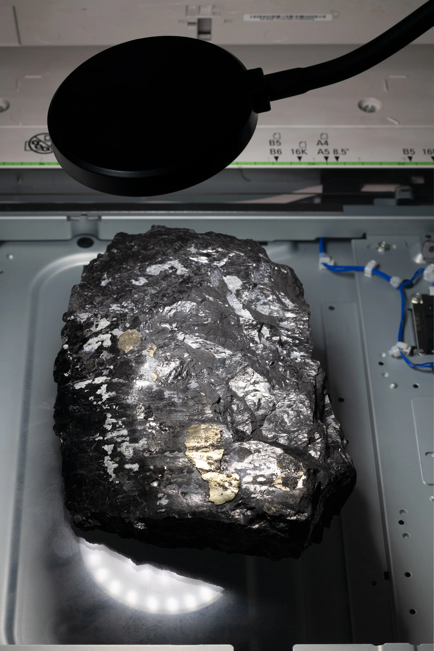 Anthony Discenza_Folklore_Leroys-229.jpg