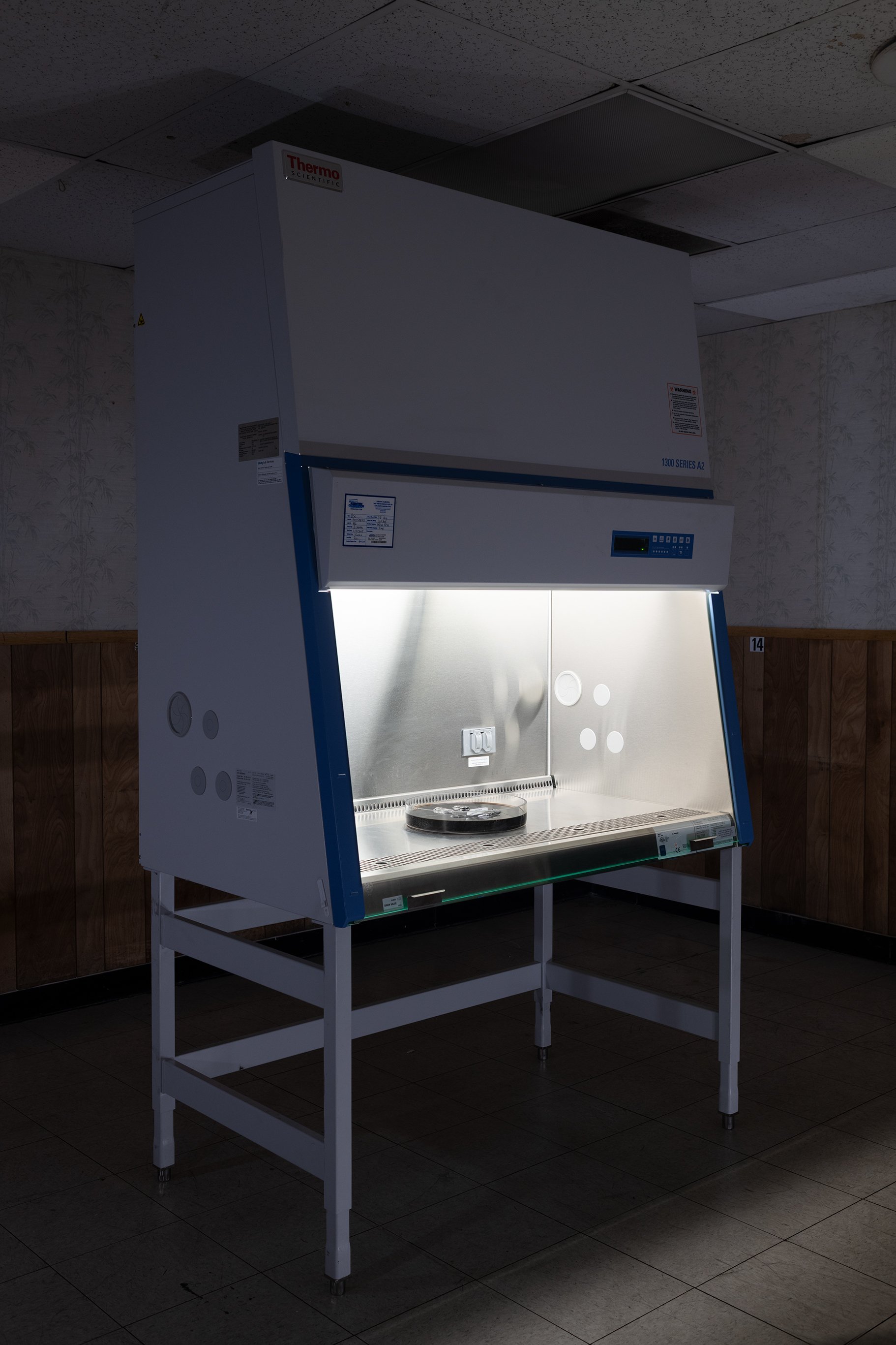 Anthony Discenza_Folklore-385.jpg