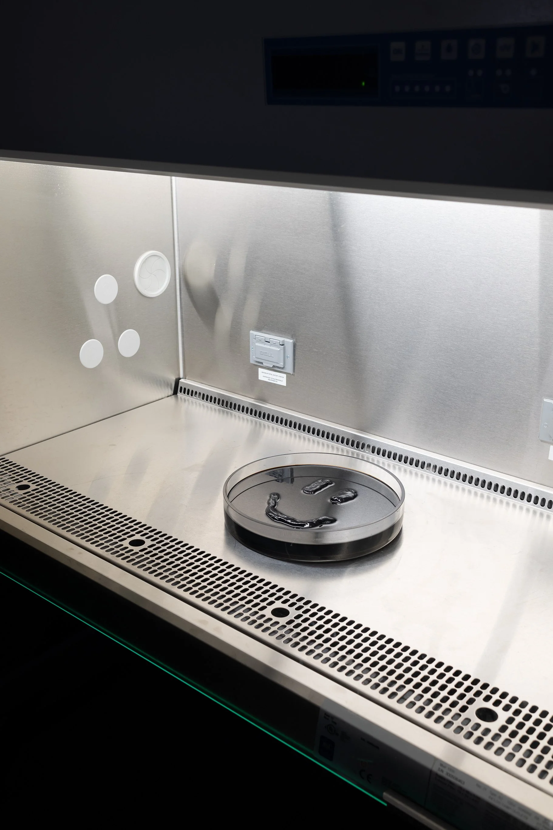 Anthony Discenza_Folklore-354.jpg