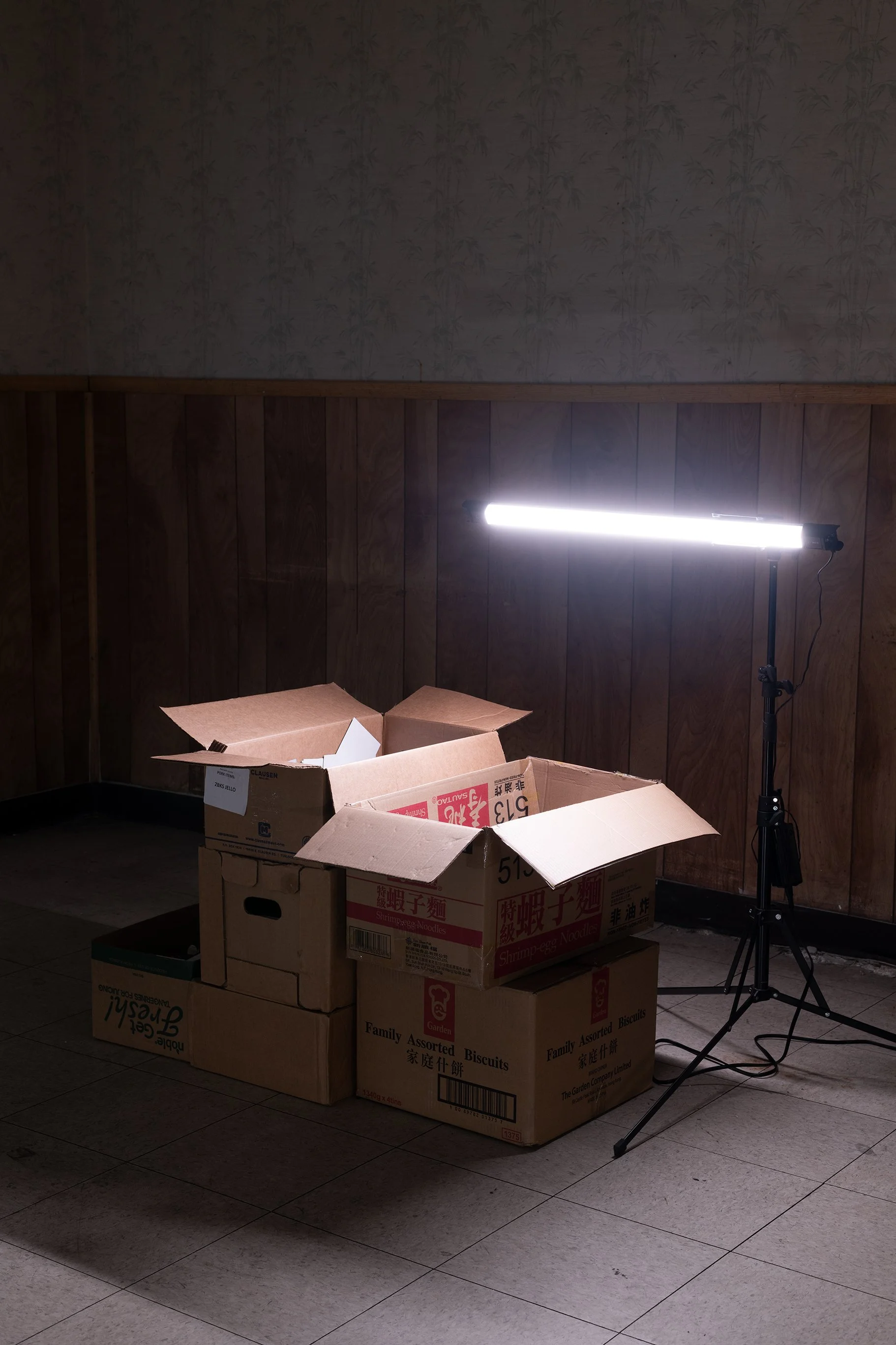 Anthony Discenza_Folklore-344.jpg