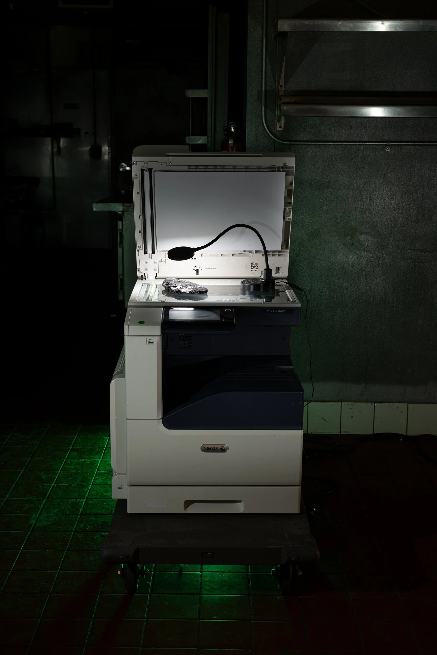 Anthony Discenza_Folklore-276.jpg