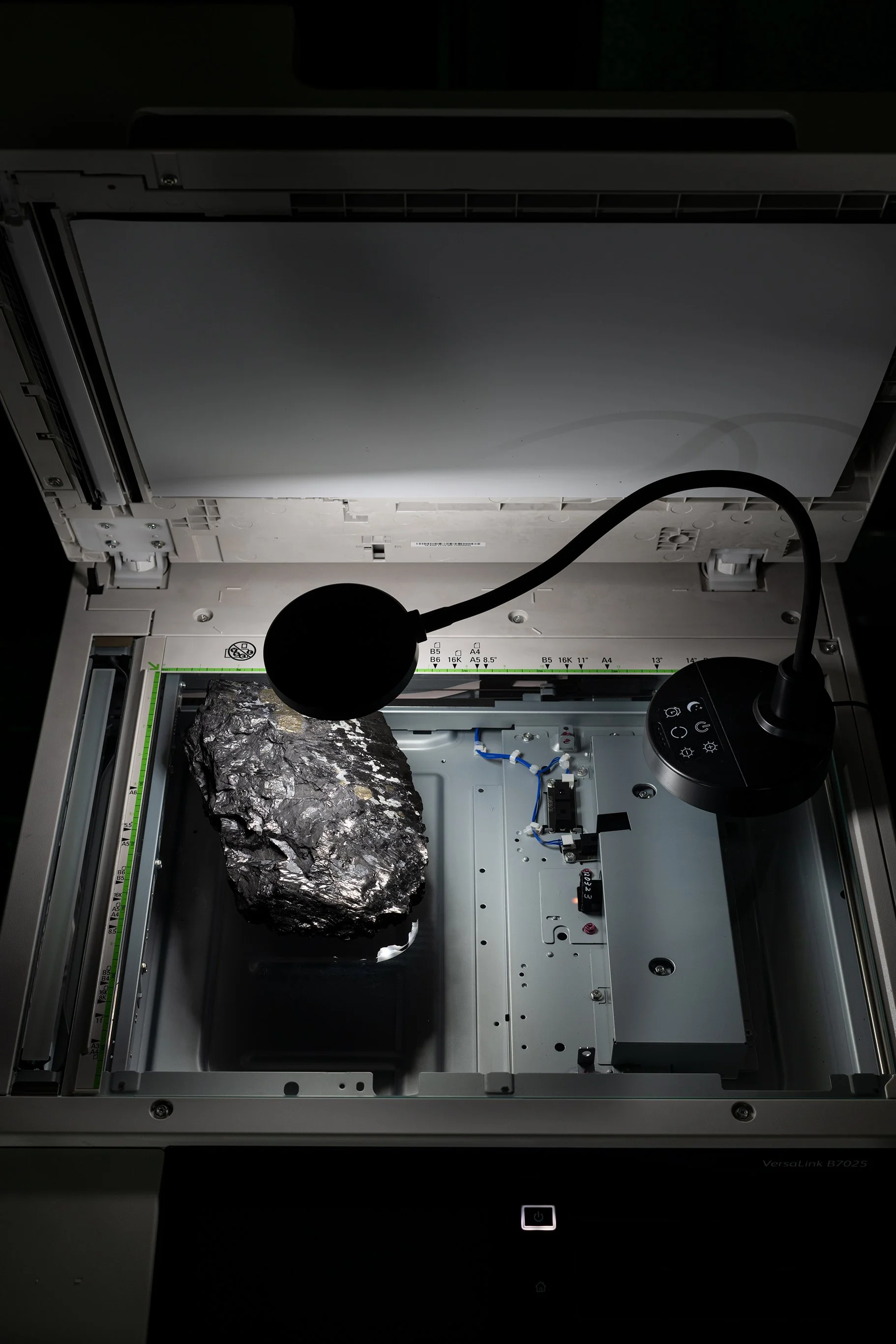 Anthony Discenza_Folklore-285.jpg