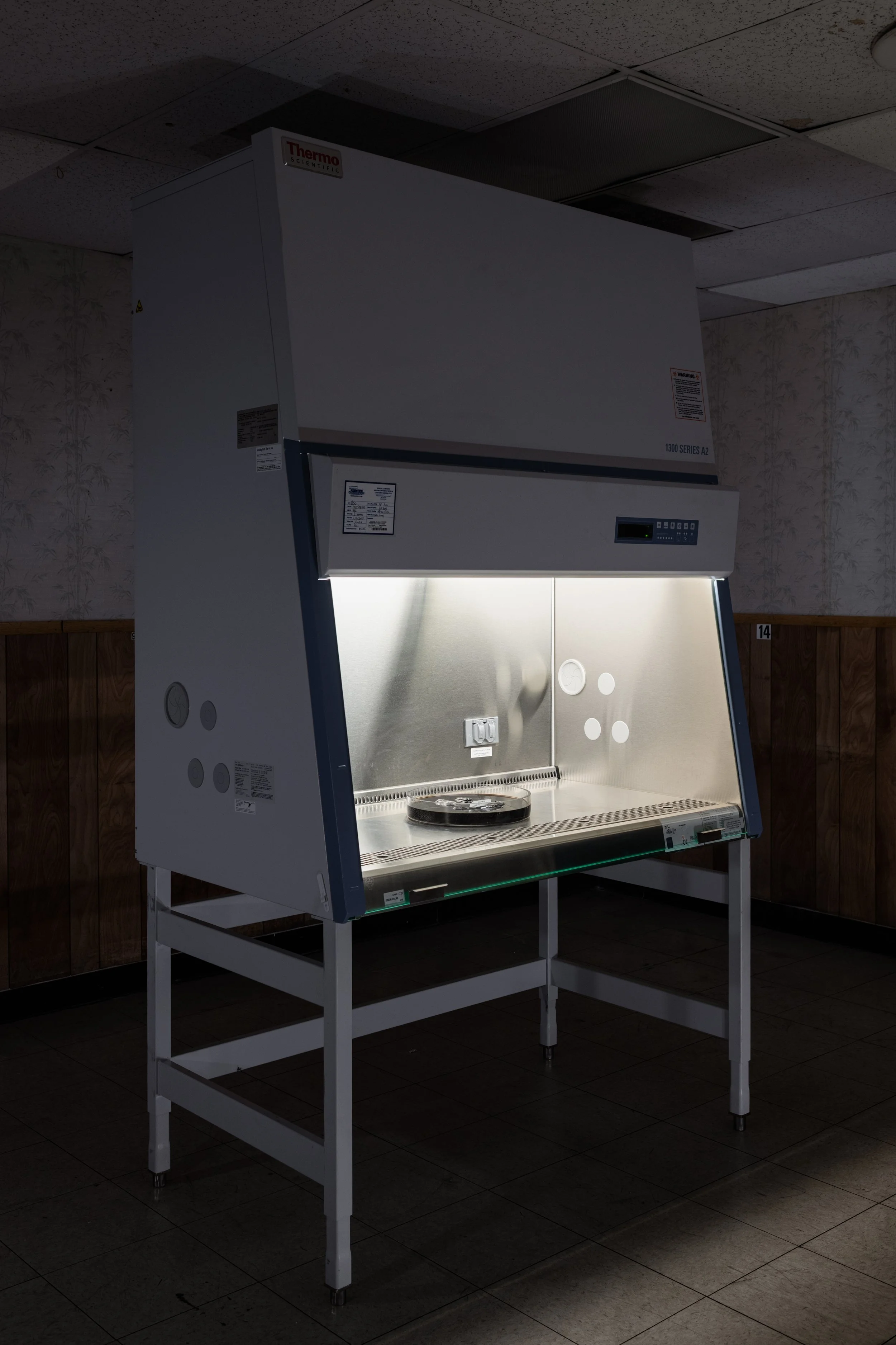 Anthony Discenza_Folklore_Leroys-003.jpg