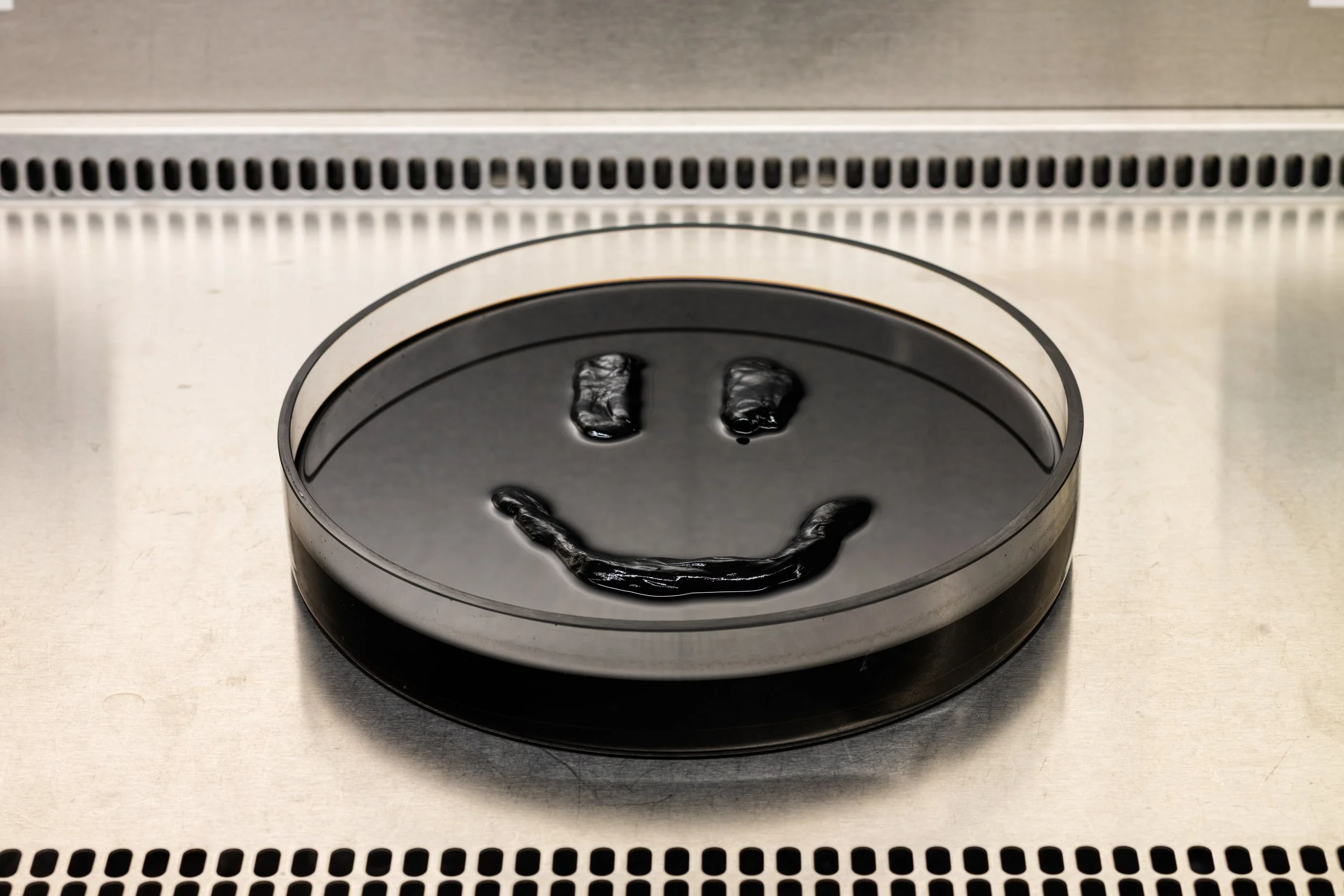 Anthony Discenza_Folklore_Leroys-005.jpg