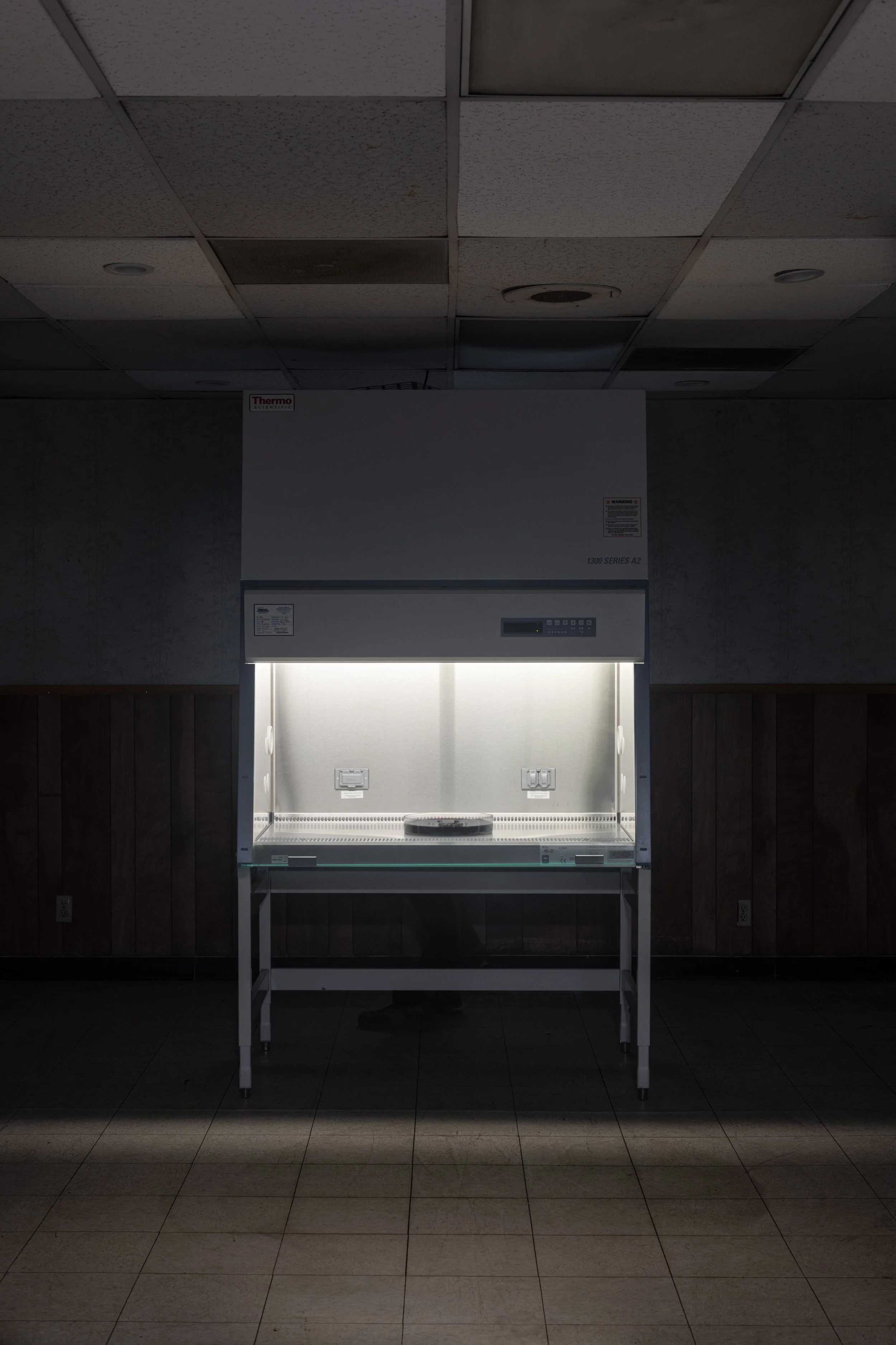 Anthony Discenza_Folklore_Leroys-006.jpg