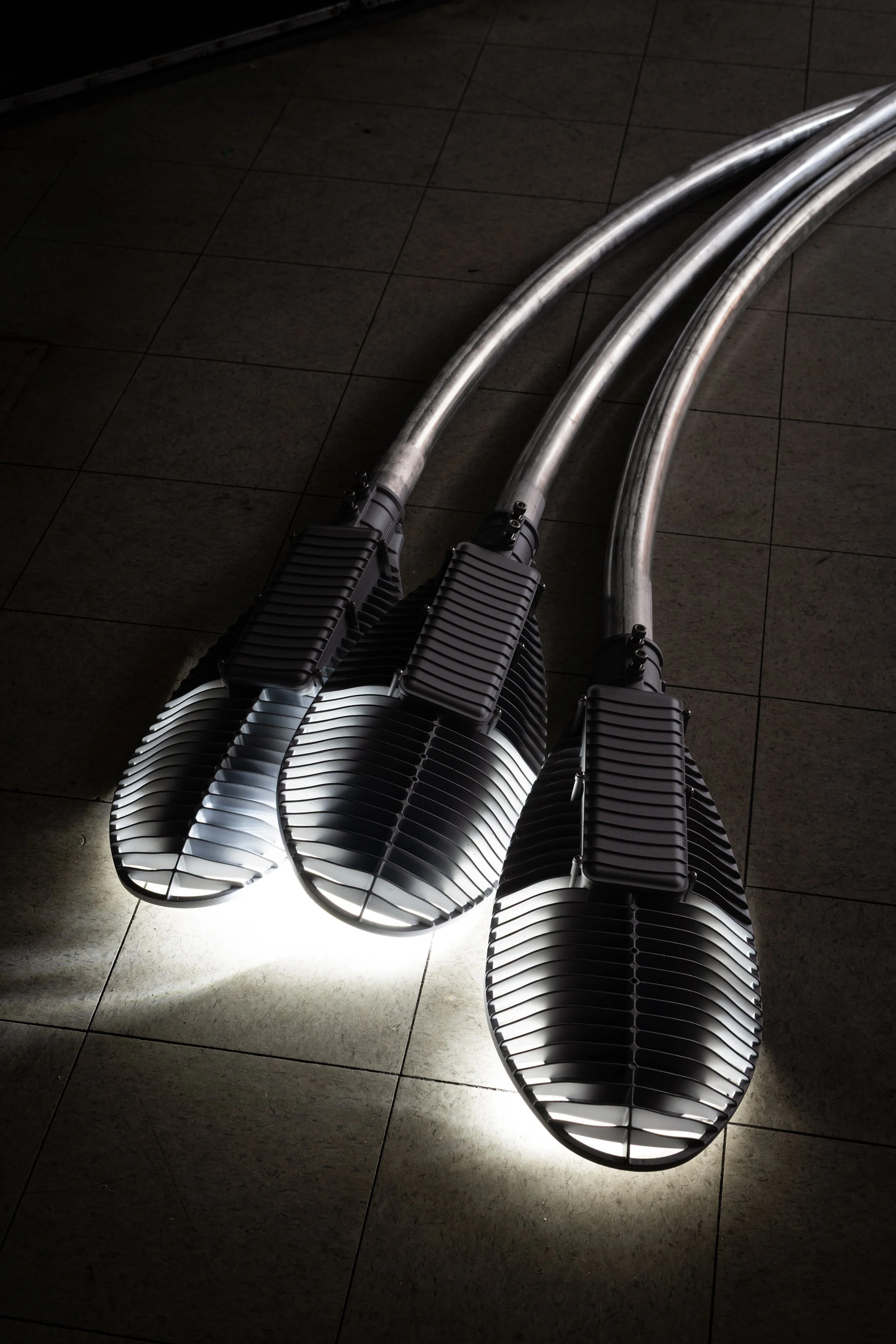 Anthony Discenza_Folklore_Leroys-016.jpg