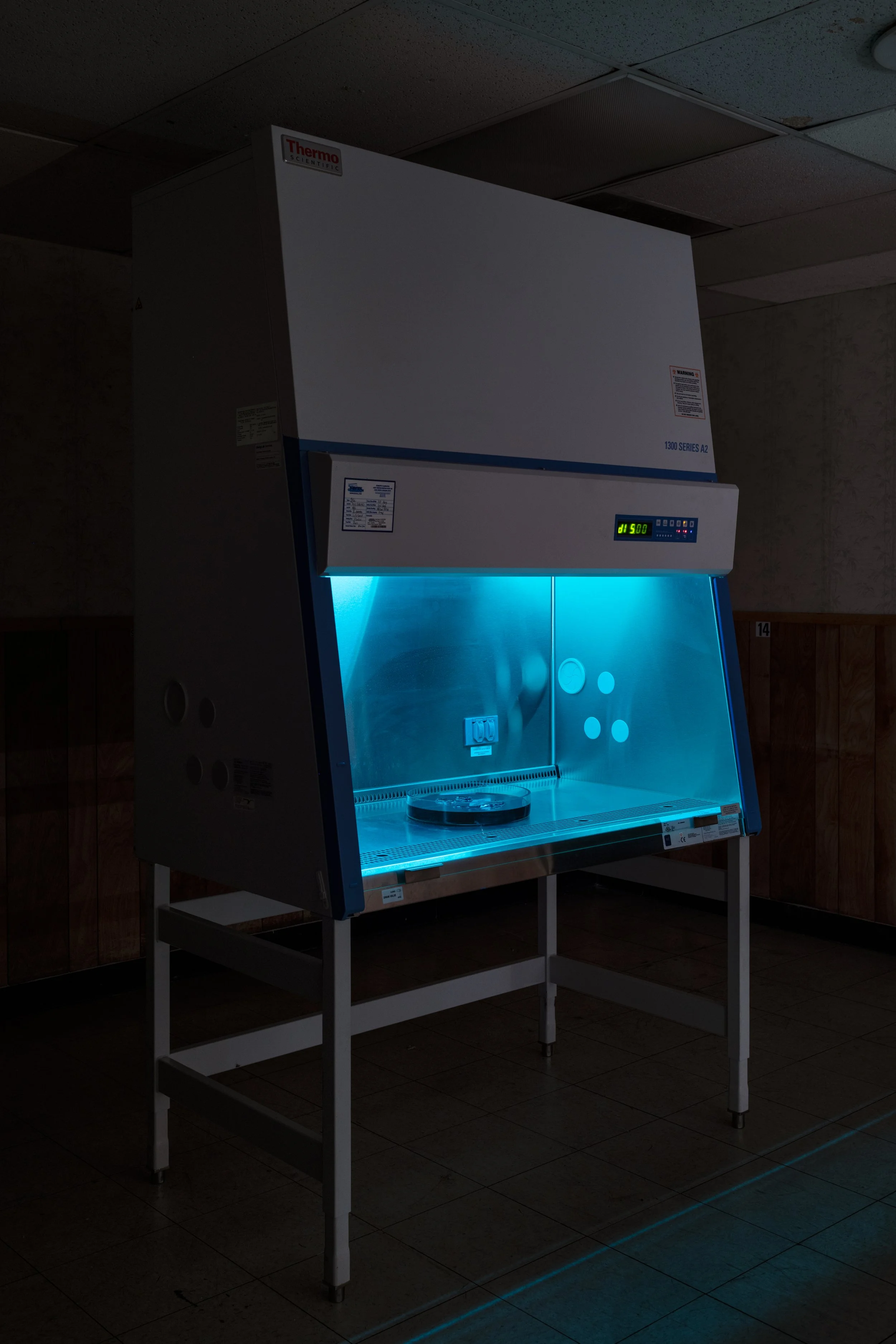 Anthony Discenza_Folklore_Leroys-028.jpg