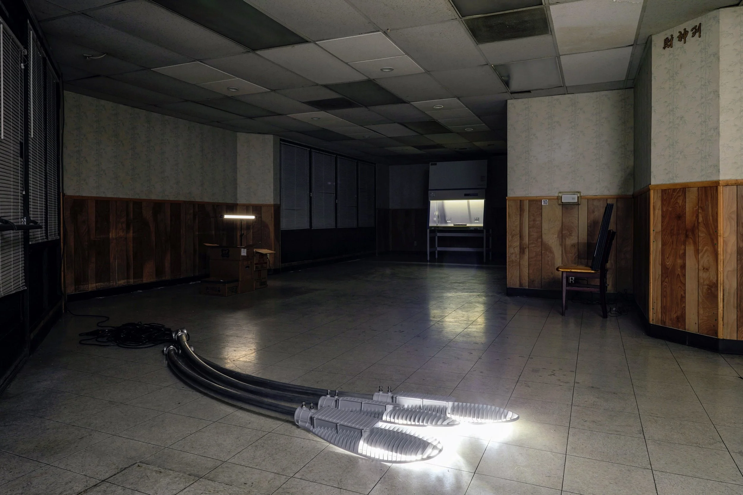 Anthony Discenza_Folklore_Leroys-030~2.jpg