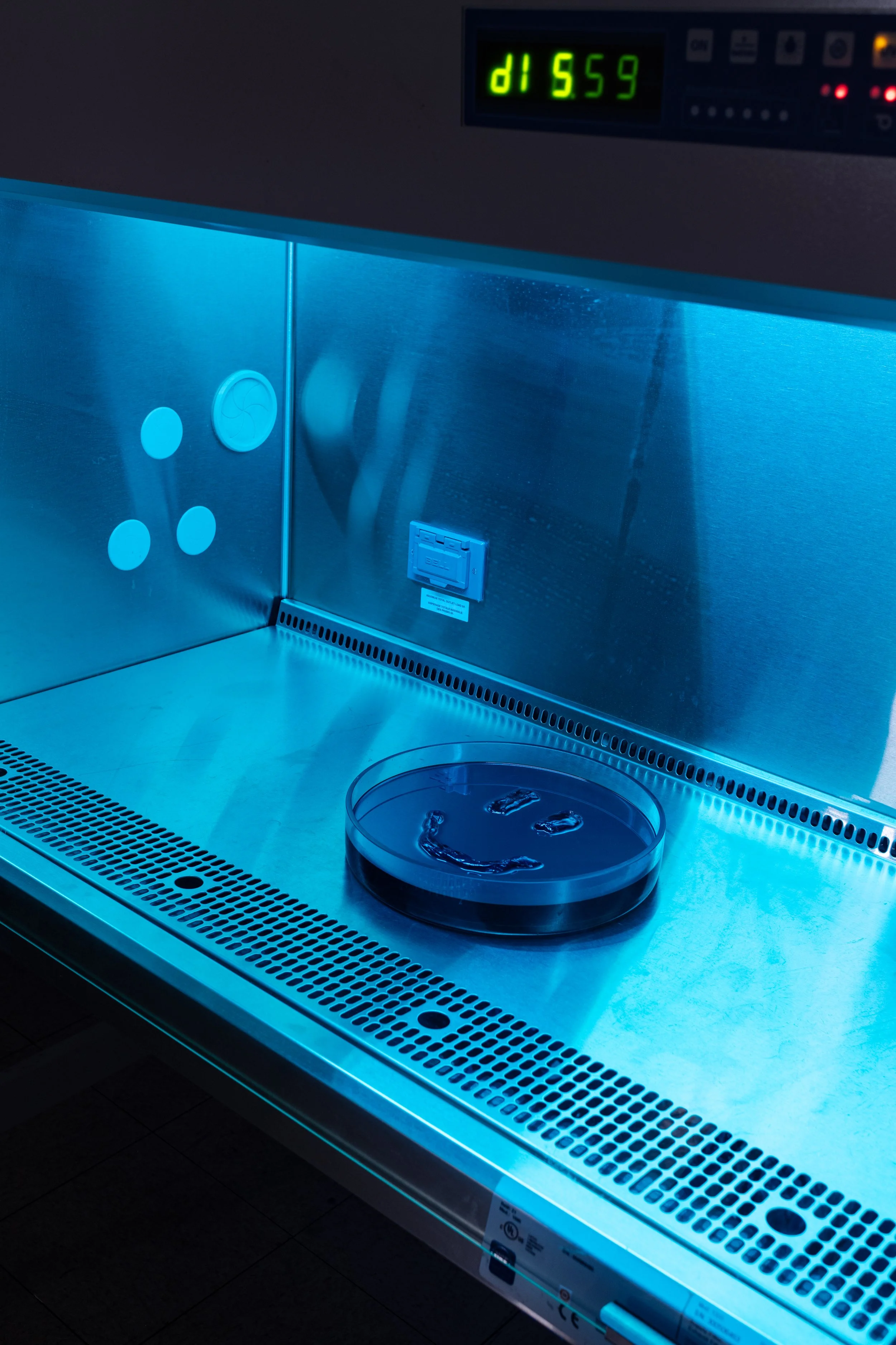 Anthony Discenza_Folklore_Leroys-029.jpg