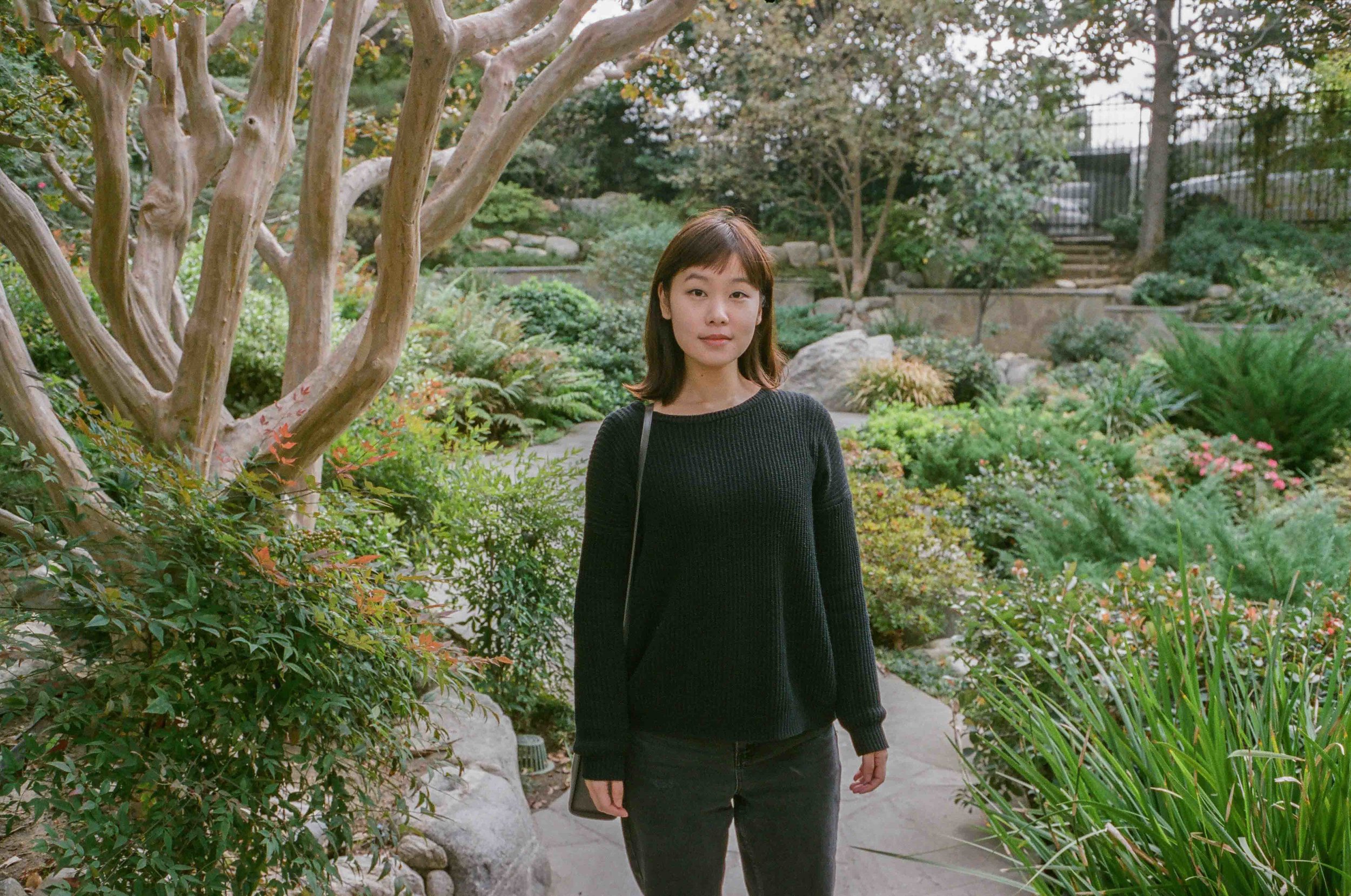 Ivy Liu Graphic Design/Mentor