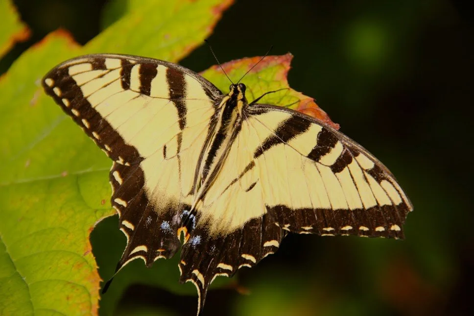 DPP_0358.jpg