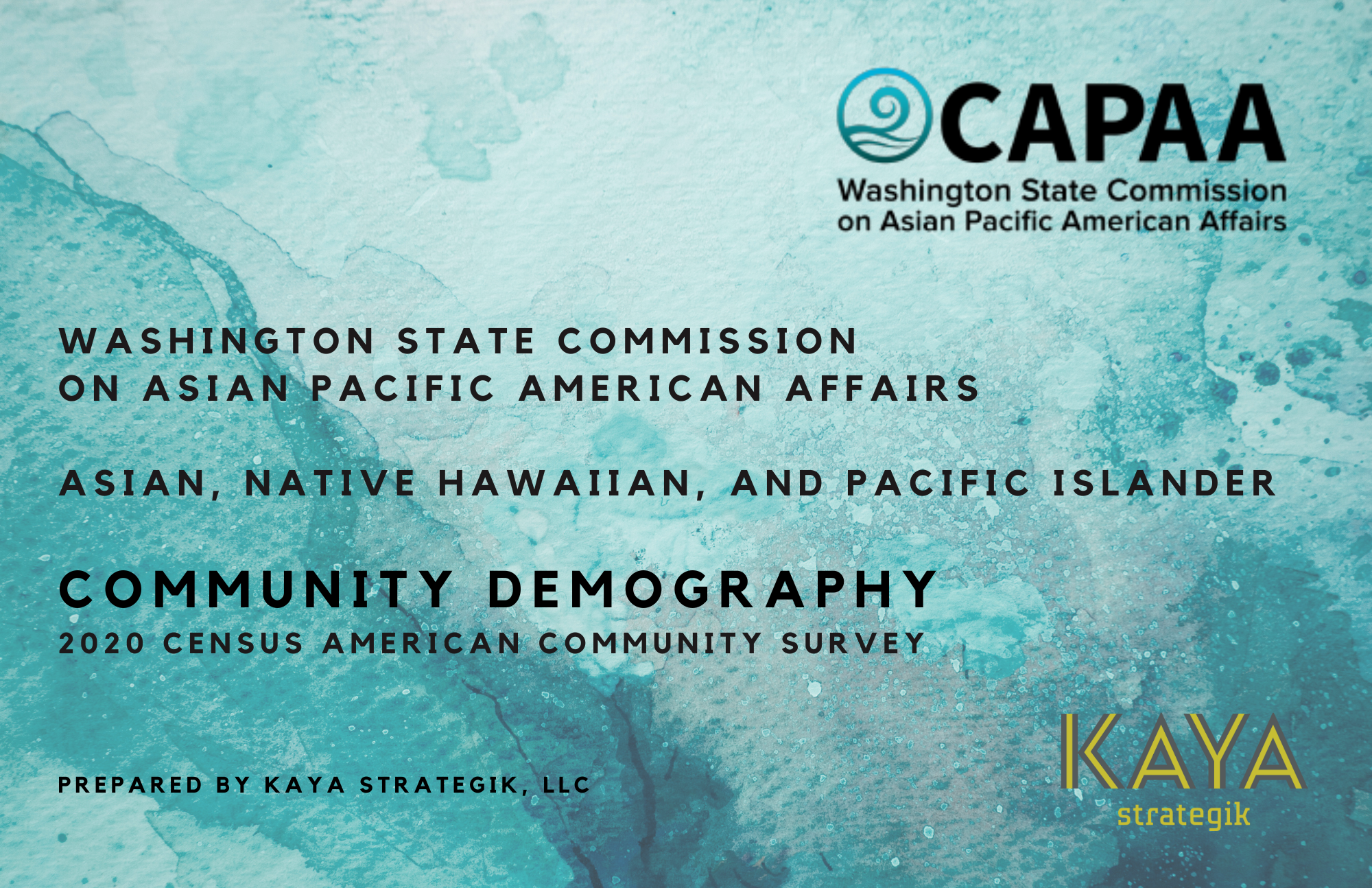 FINAL CAPAA Community Demography (ACS 2020) -3.png