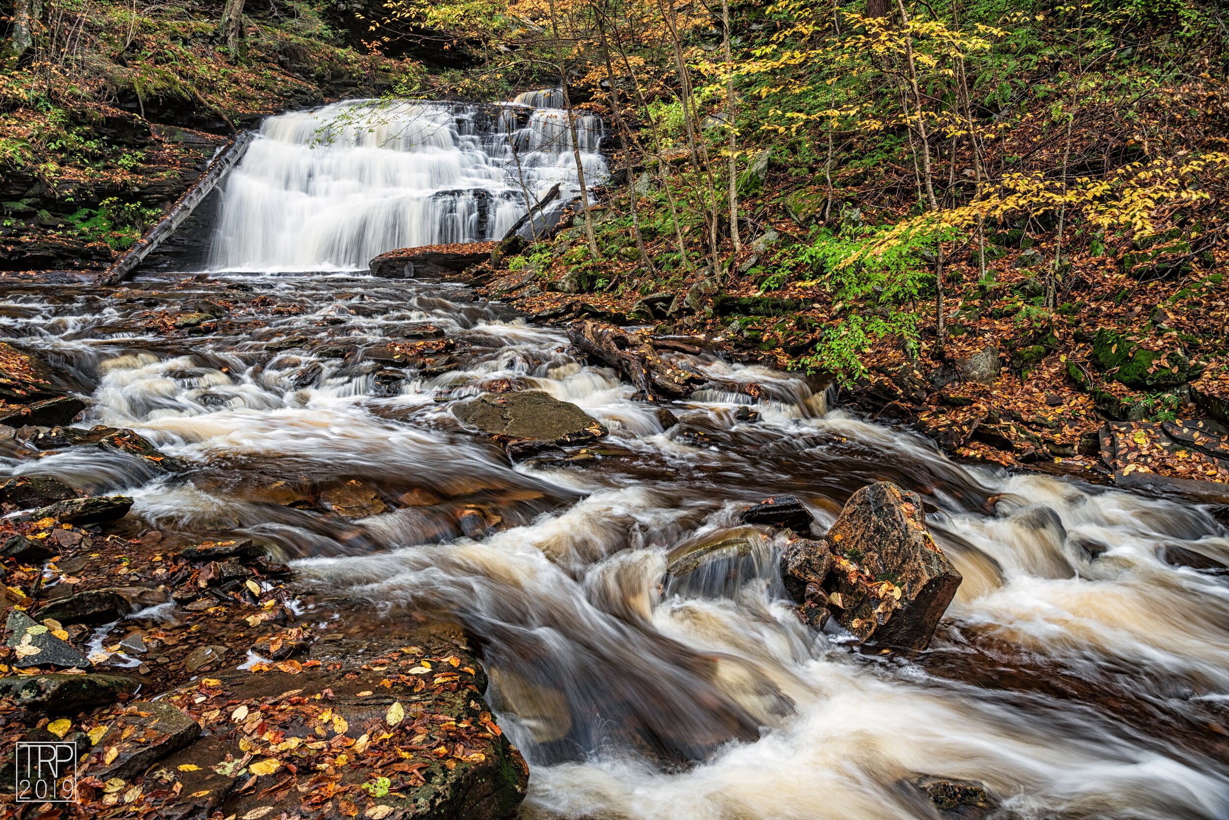 Ricketts_Glen_Mohican_Low_After_Meet.jpg