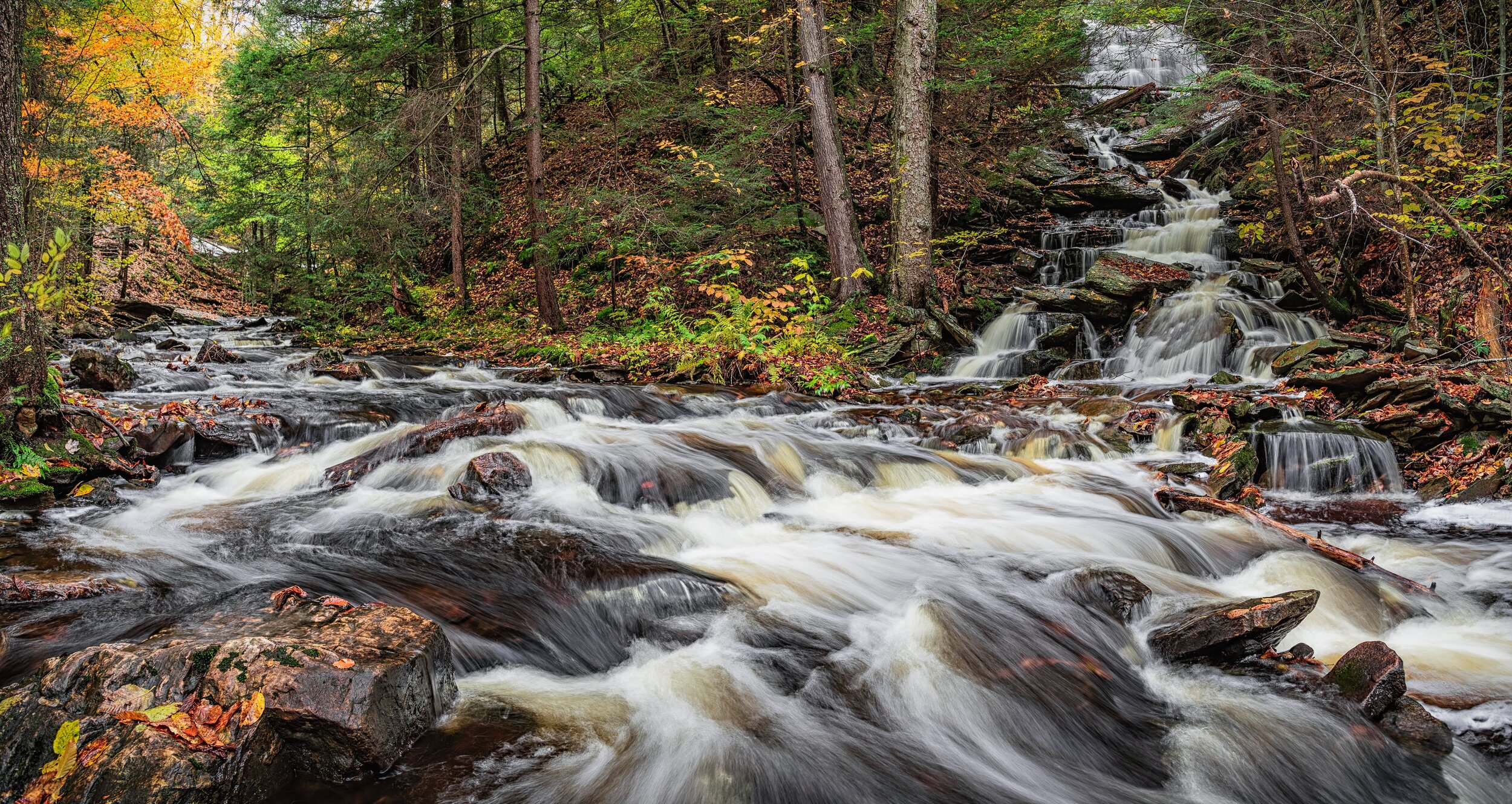 Ricketts_Glen_Unnamed_wide_01.jpg