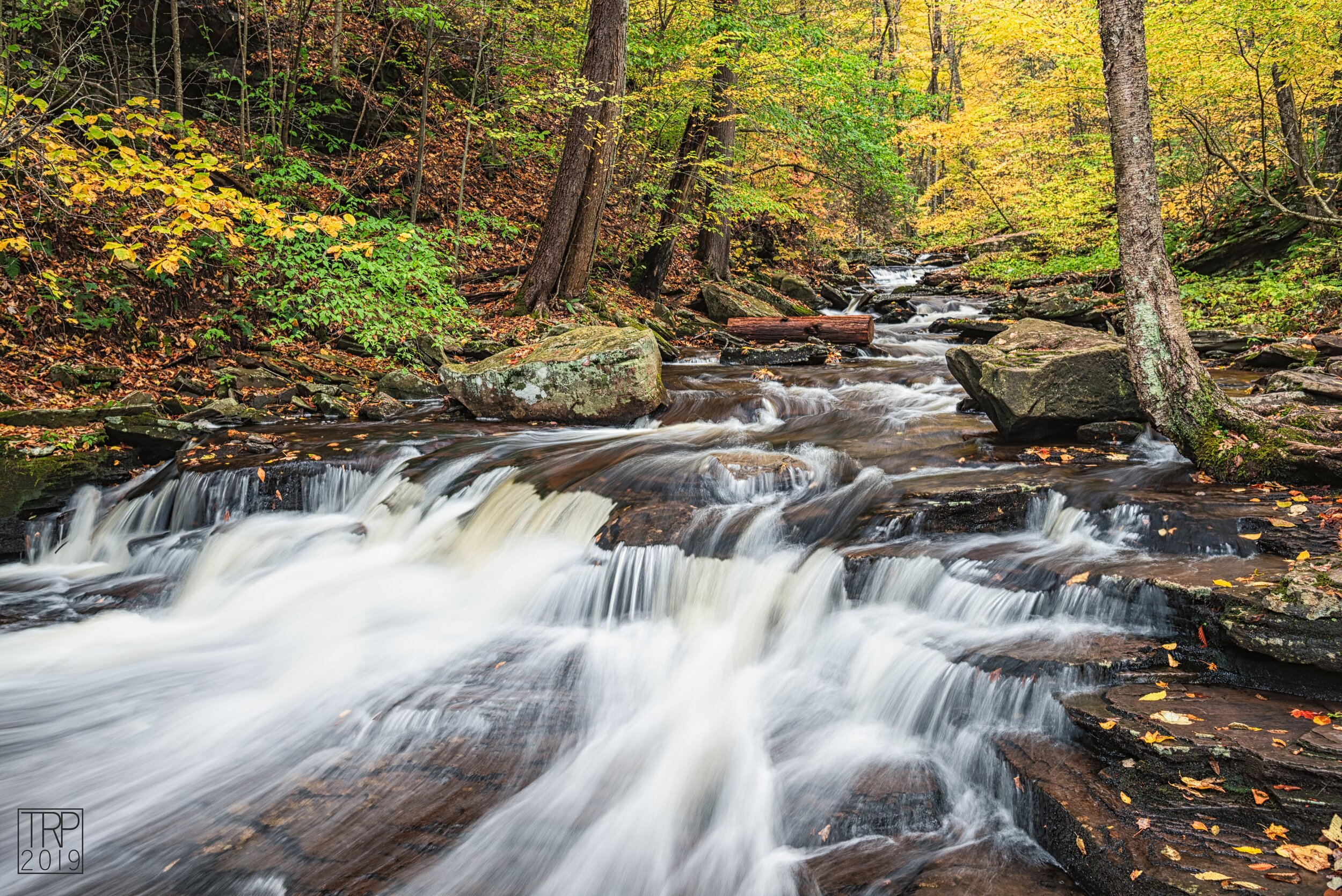 Ricketts_Glen_Fall_Distance.jpg