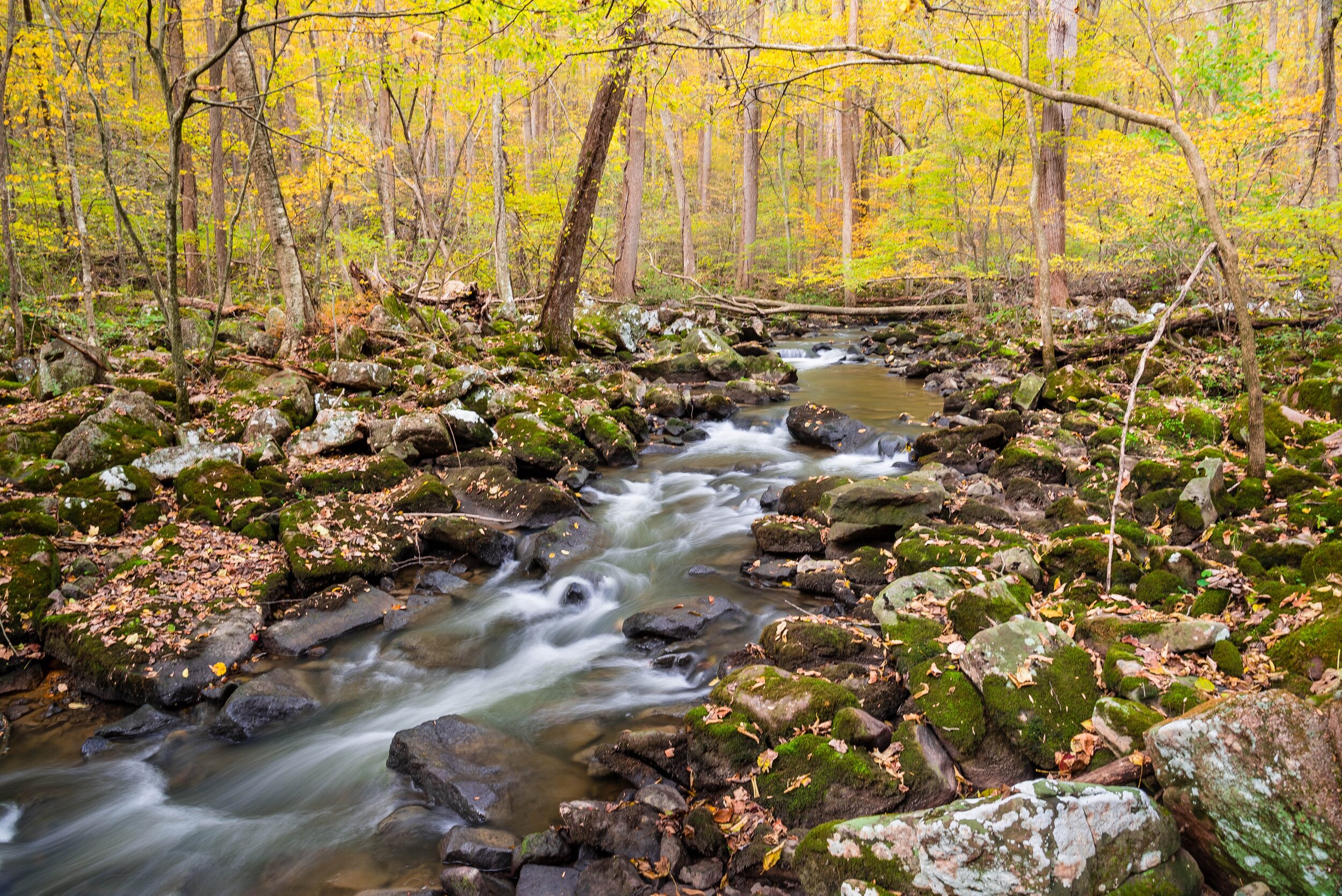 Middle_Creek_Fall_Rocks.jpg