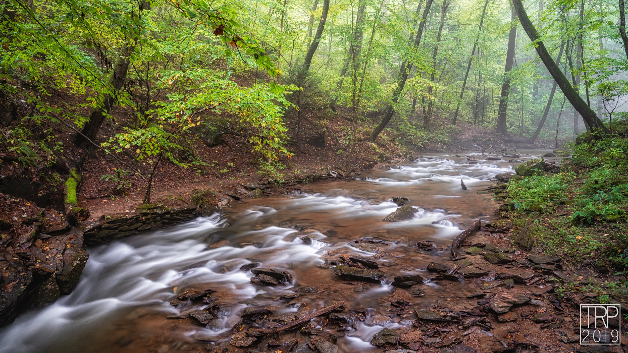 Trout_Run_Fog_Summer_Far_01-WM.jpg