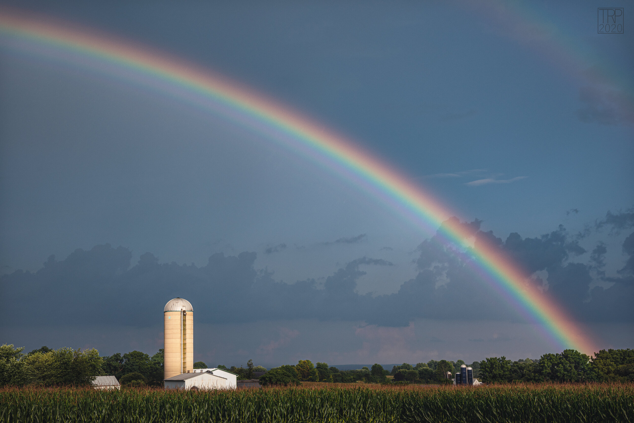 Rainbow_field_horizontal.jpg