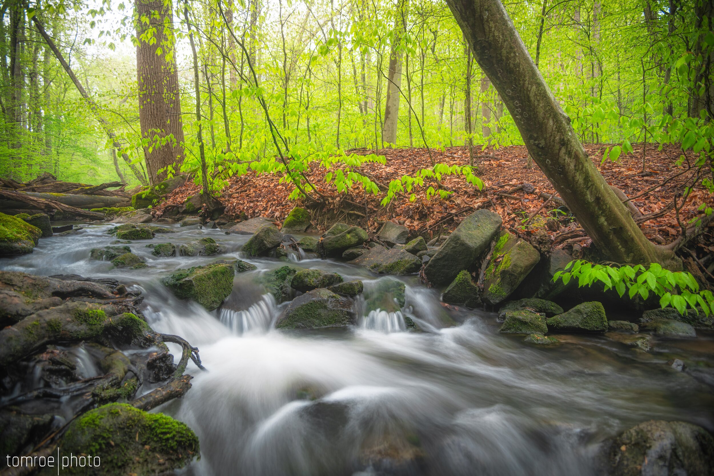 Middle_Creek_Split_Island_Spring.jpg