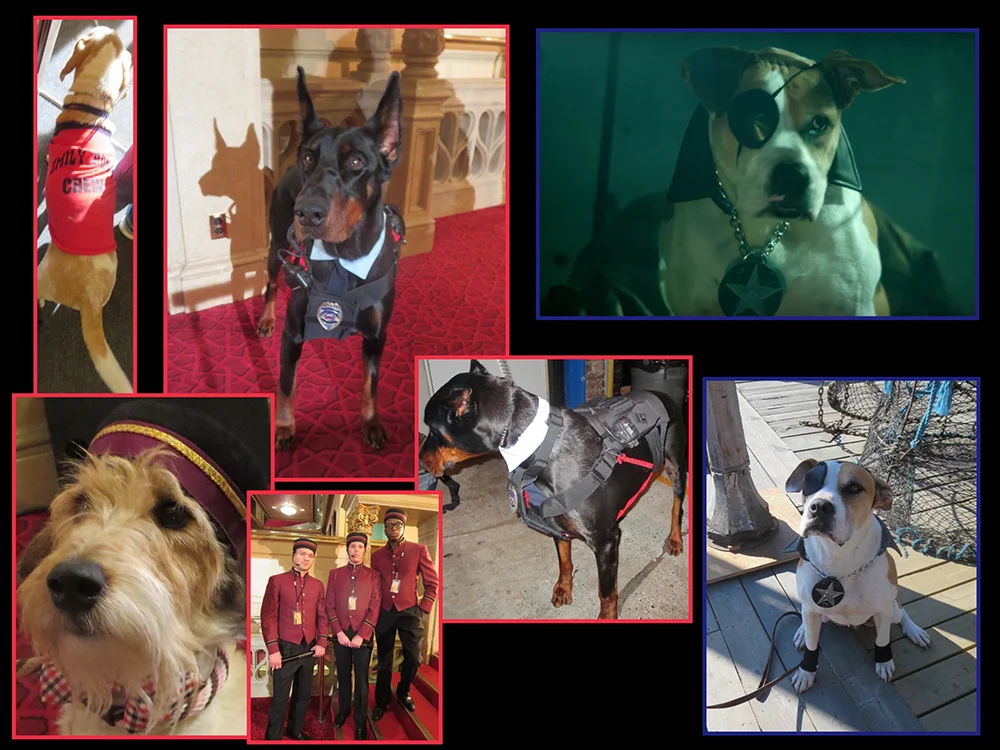 pupstar06.jpg