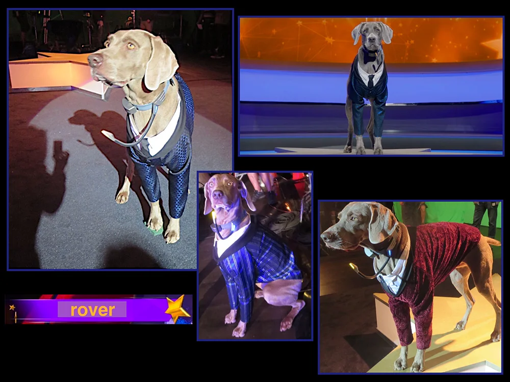 pupstar13.jpg