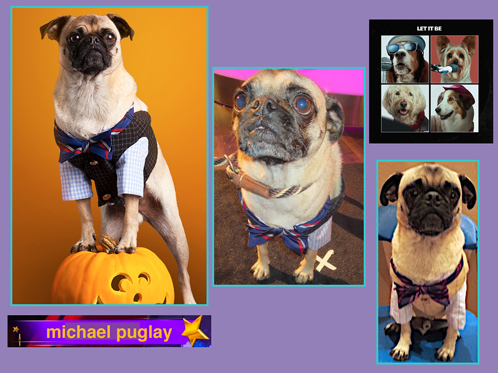 pupstar14.jpg