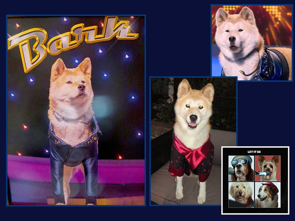 pupstar20.jpg