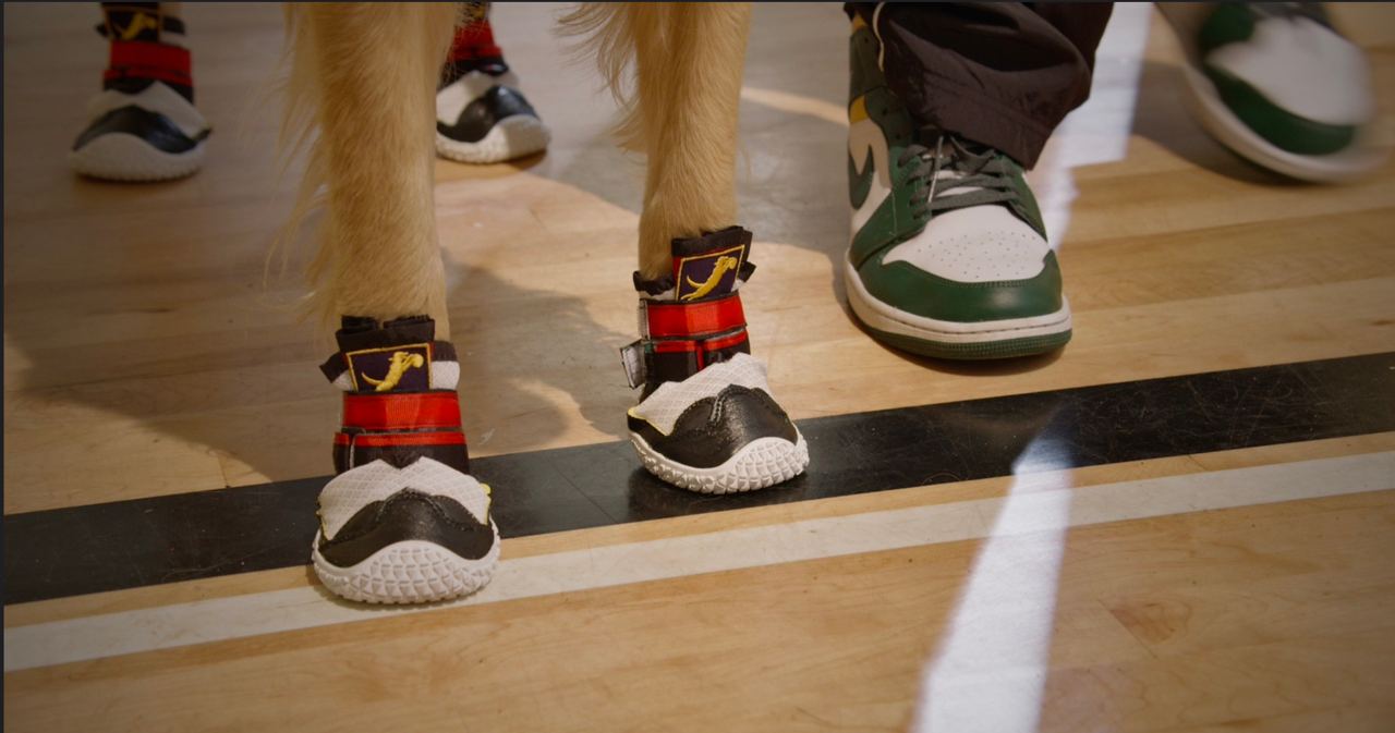 Screenshot 2026-02-02 at 6.18.08 PM.png