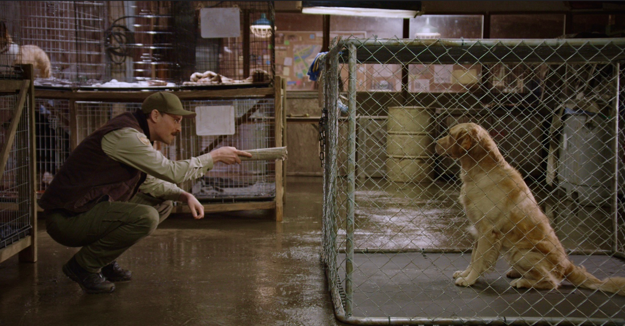 Screenshot 2026-02-02 at 6.45.13 PM.png