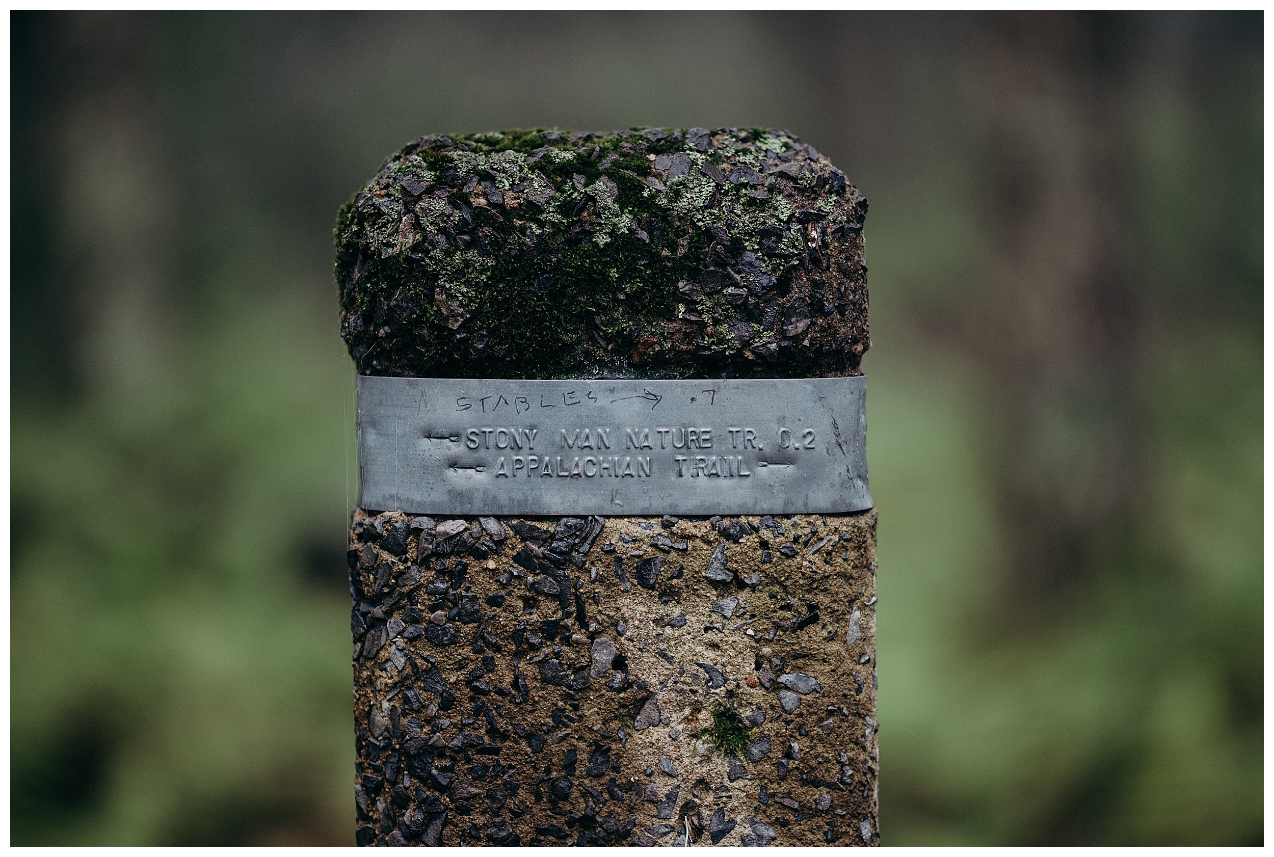 DC-VIRGINIA-WEDDING-PHOTOGRAPHER-SHENANDOAH-NATIONAL-PARK-SKYLAND-ELOPEMENT_0041.jpg