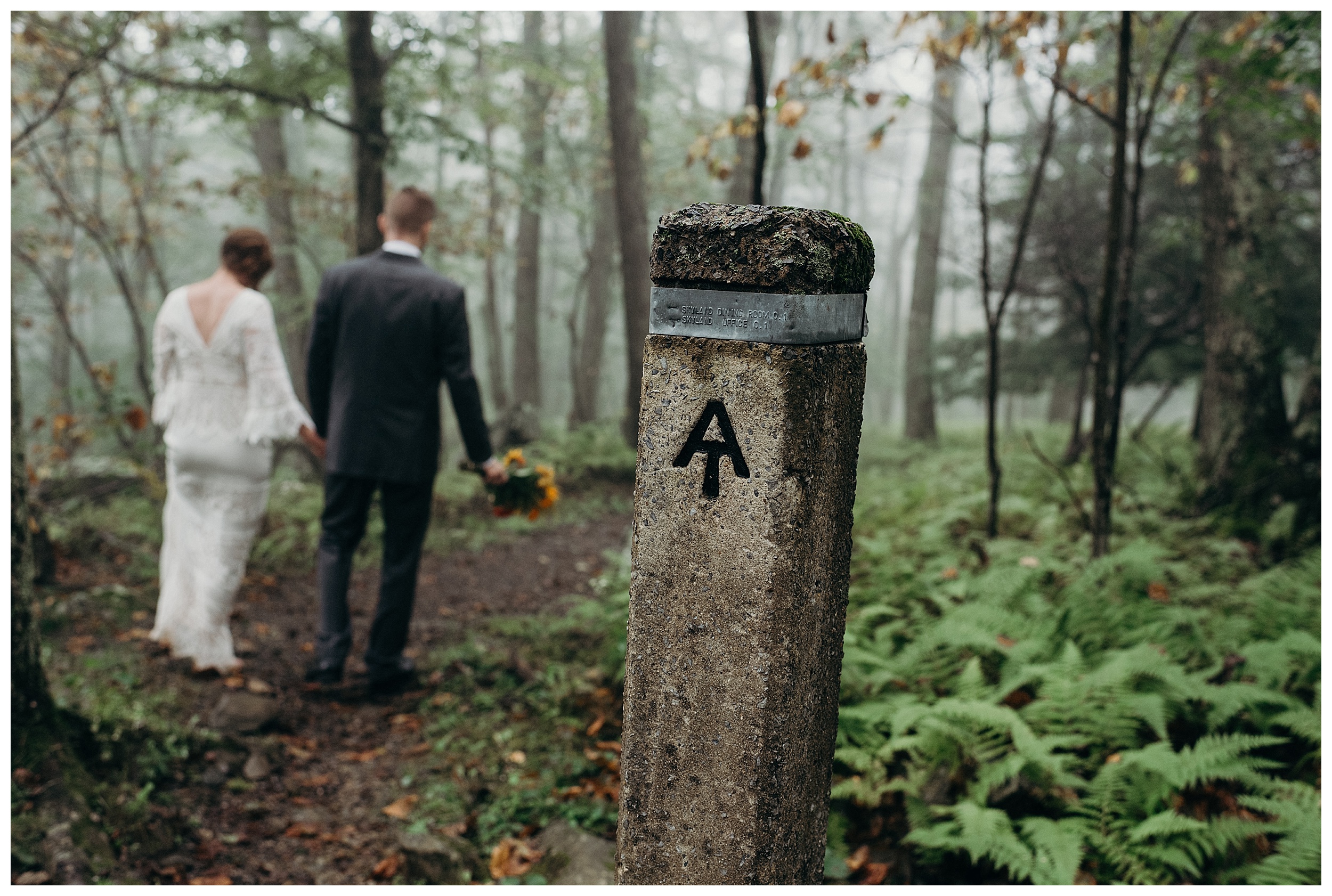 DC-VIRGINIA-WEDDING-PHOTOGRAPHER-SHENANDOAH-NATIONAL-PARK-SKYLAND-ELOPEMENT_0052.jpg