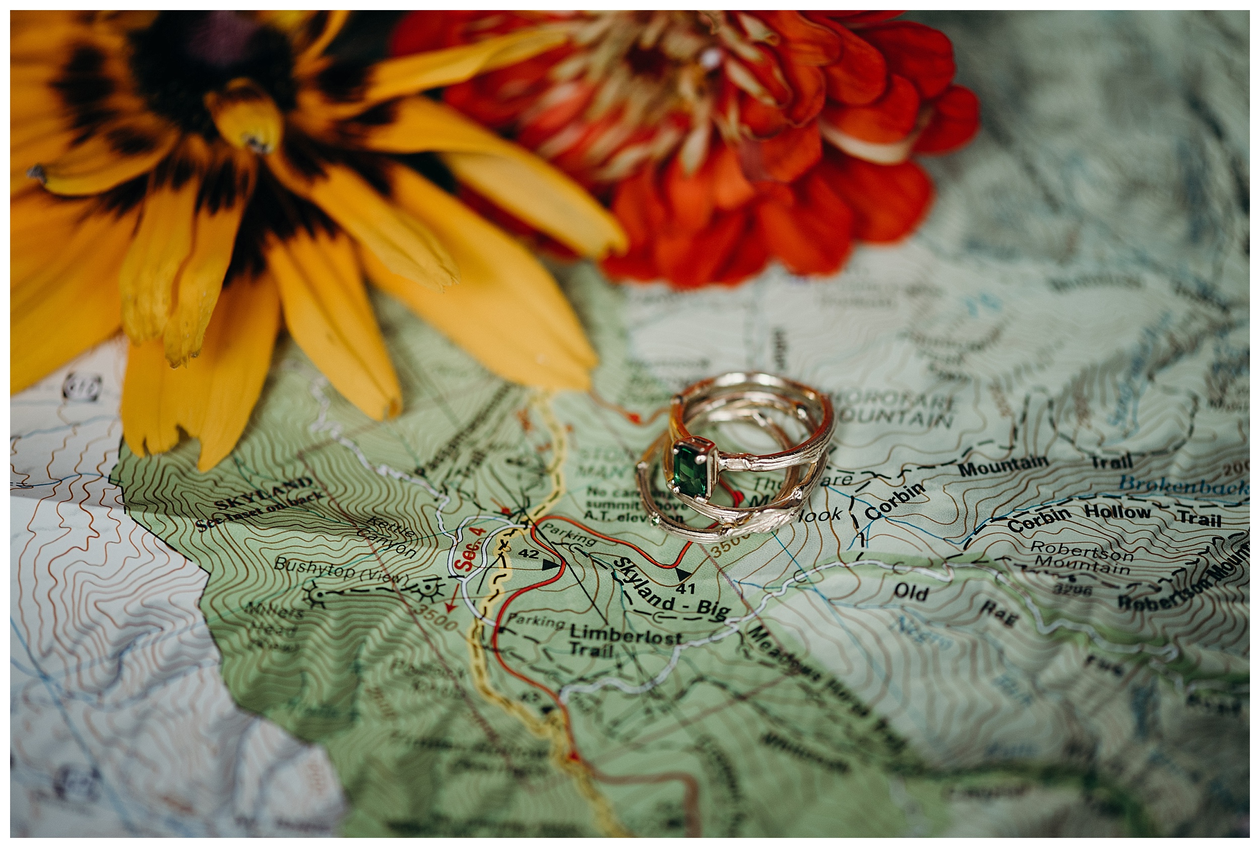 DC-VIRGINIA-WEDDING-PHOTOGRAPHER-SHENANDOAH-NATIONAL-PARK-SKYLAND-ELOPEMENT_0057.jpg