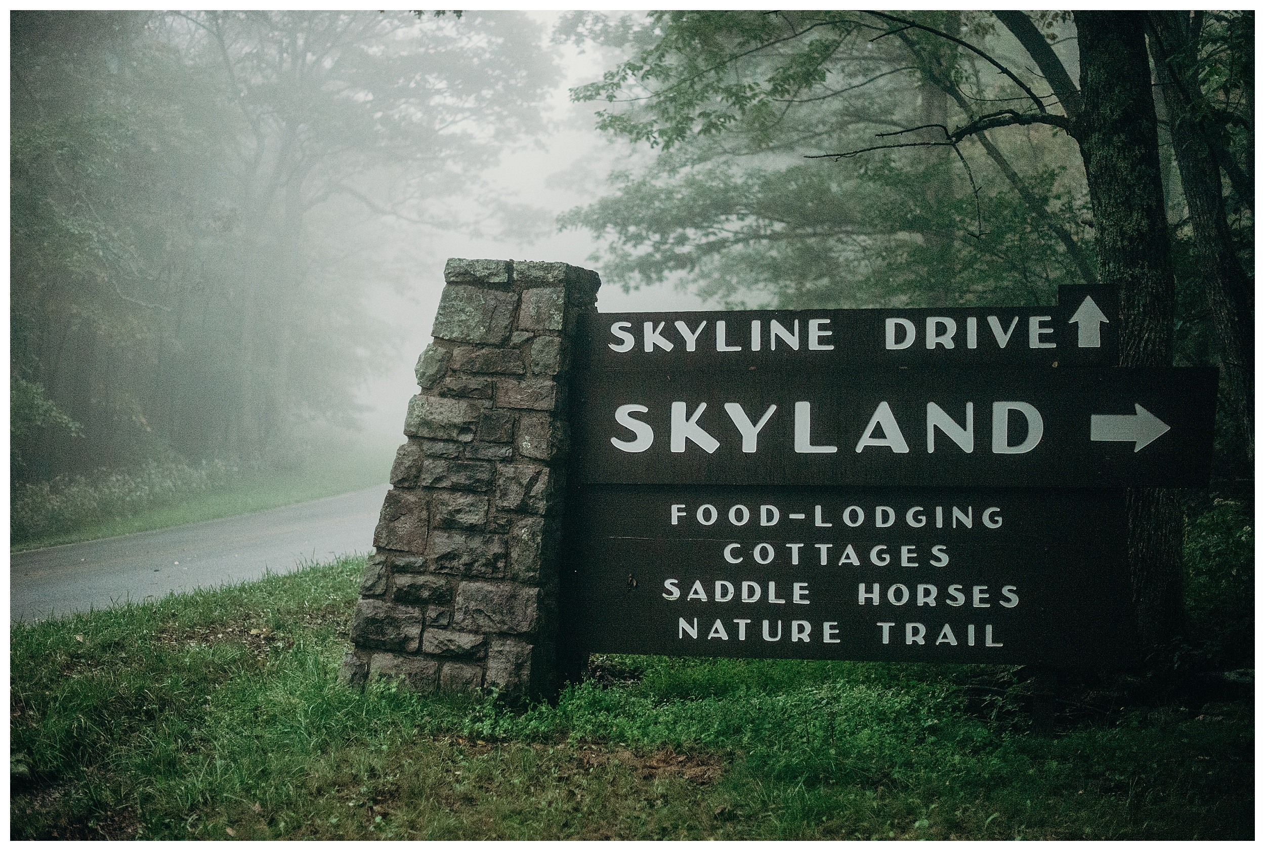 DC-VIRGINIA-WEDDING-PHOTOGRAPHER-SHENANDOAH-NATIONAL-PARK-SKYLAND-ELOPEMENT_0078.jpg
